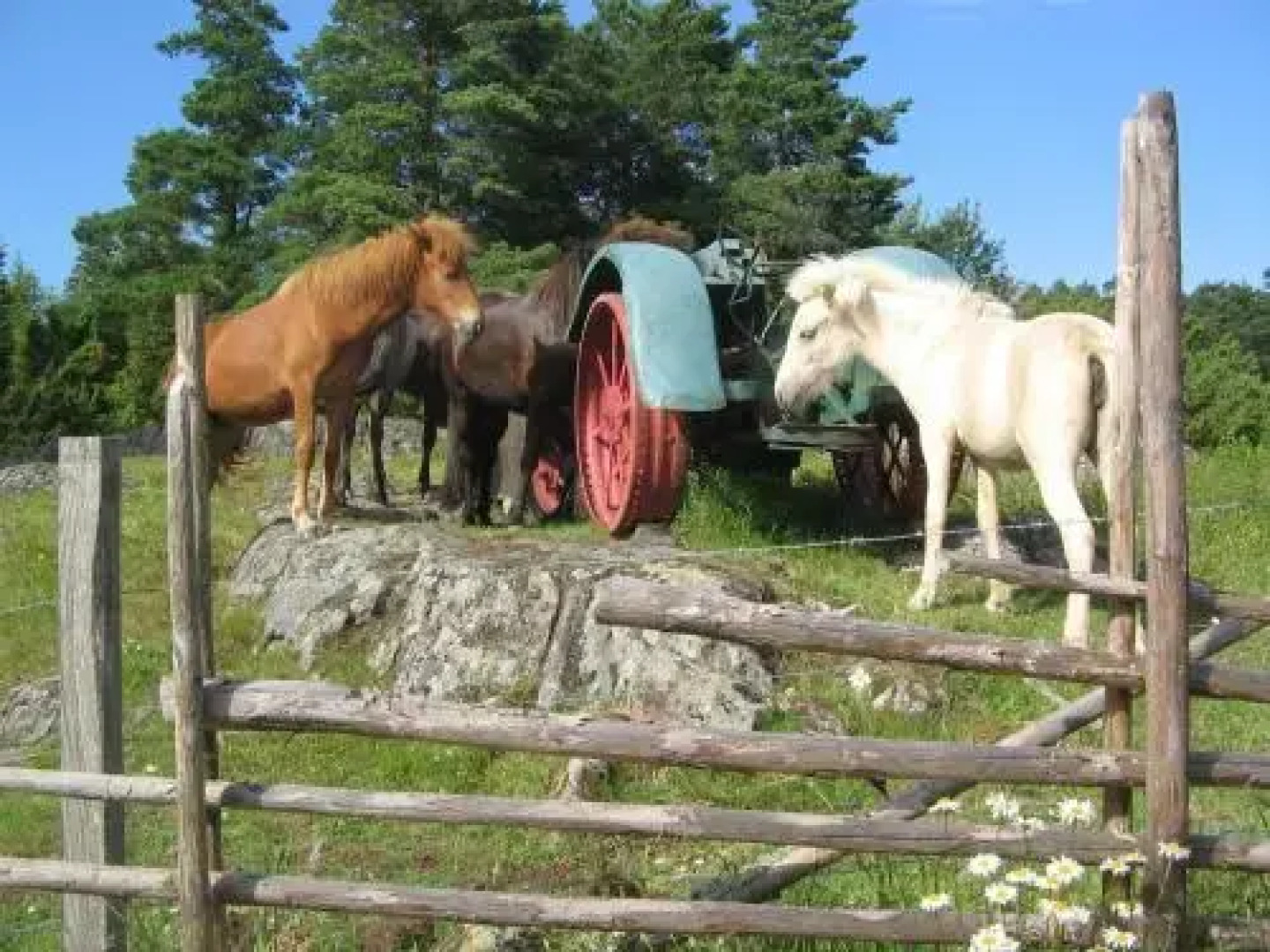 Backgårdens Turism & Kultur