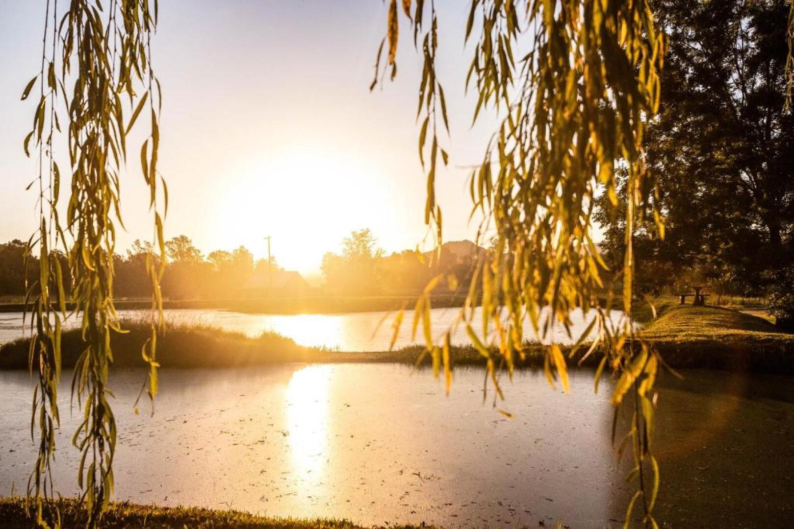 Winterton Country Lodge @ Rose Cottage