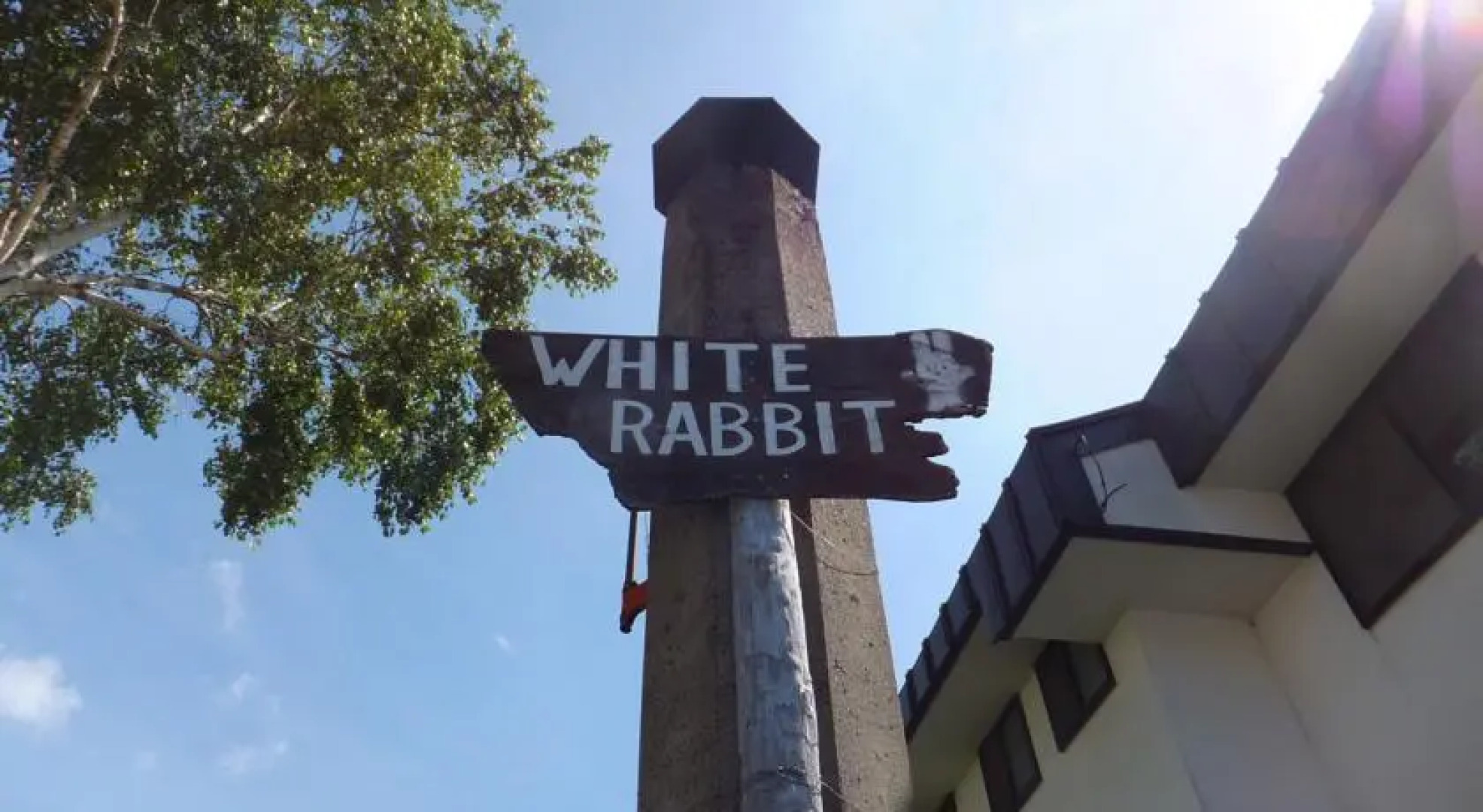 Rental Lodge WHITE RABBIT Madarao kogen Cottage ALICE