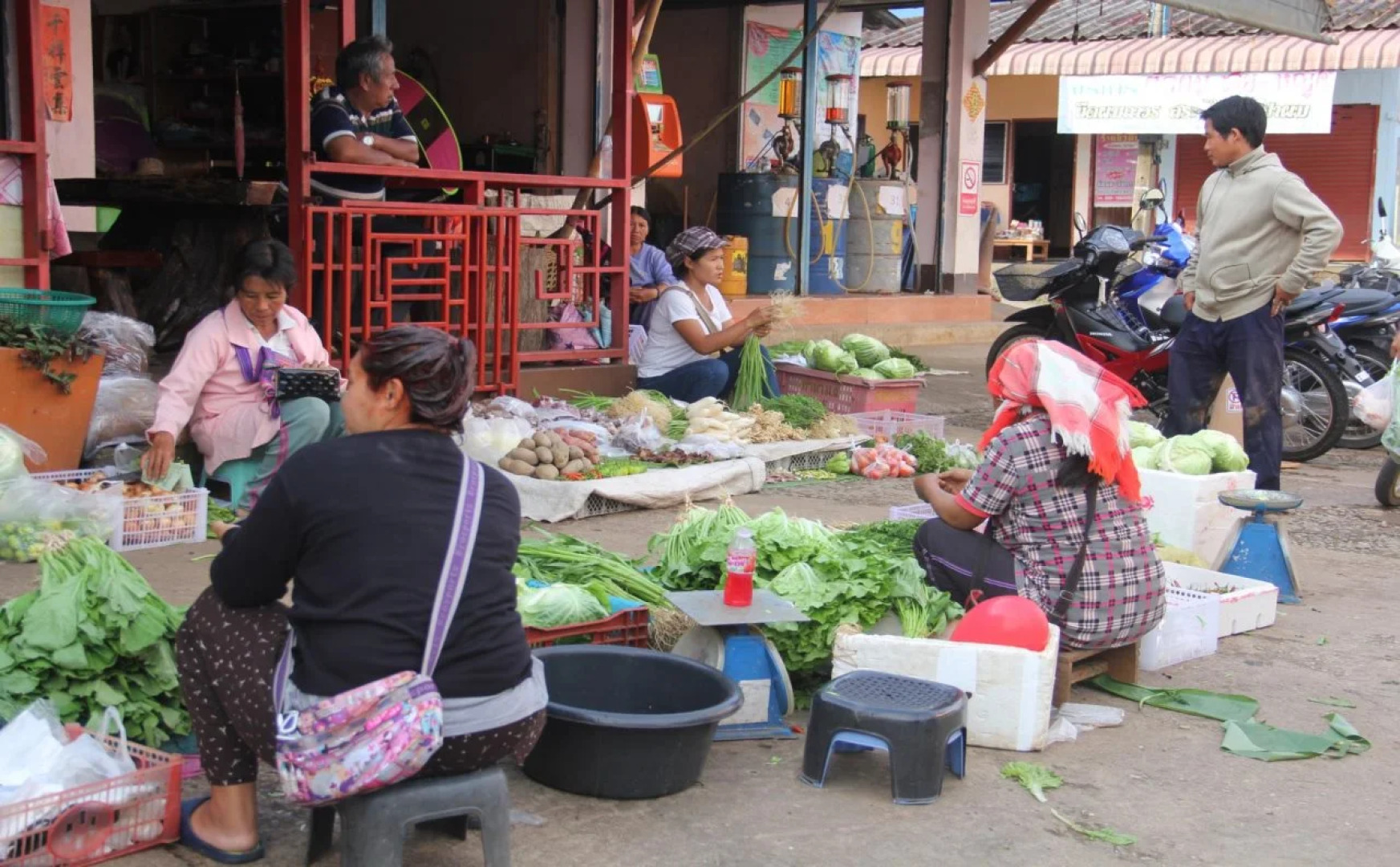 Shin Sane Guesthouse