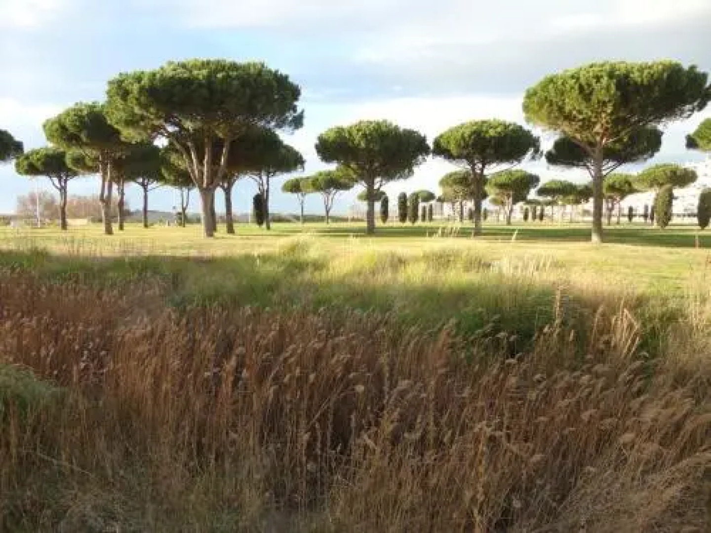 Rental Apartment Los Amigos 2