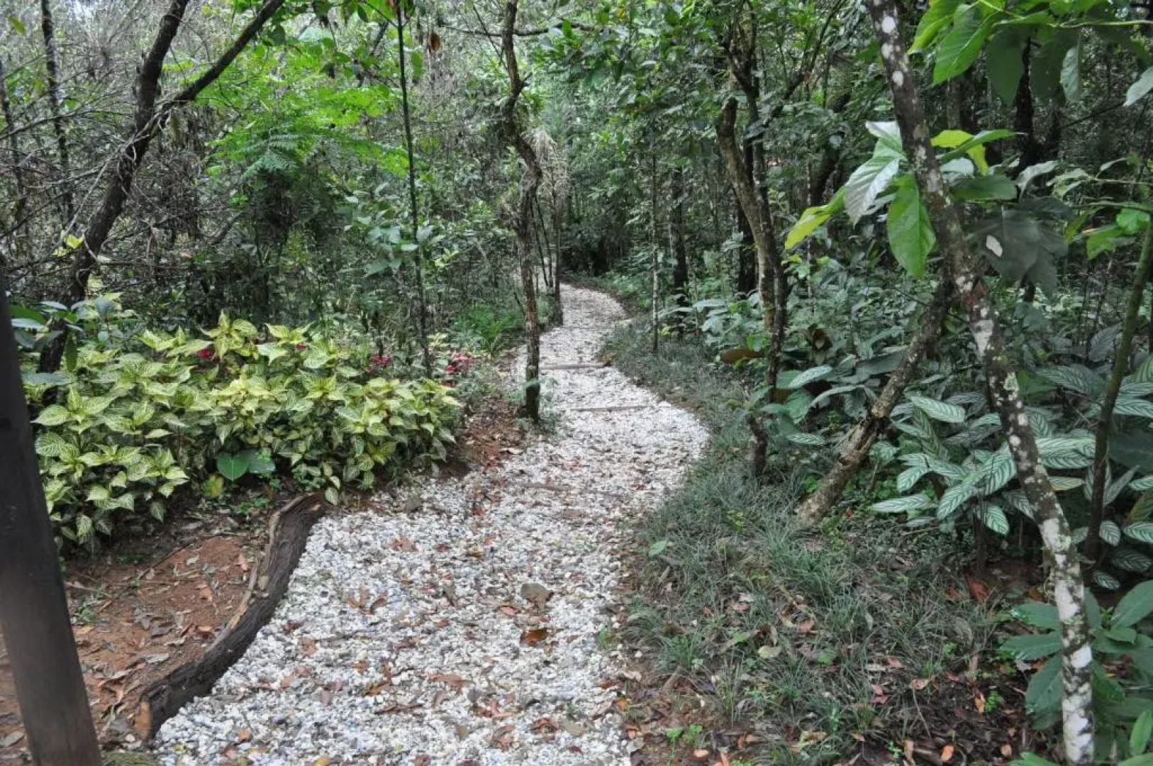 Pousada Spa Prana Lorien