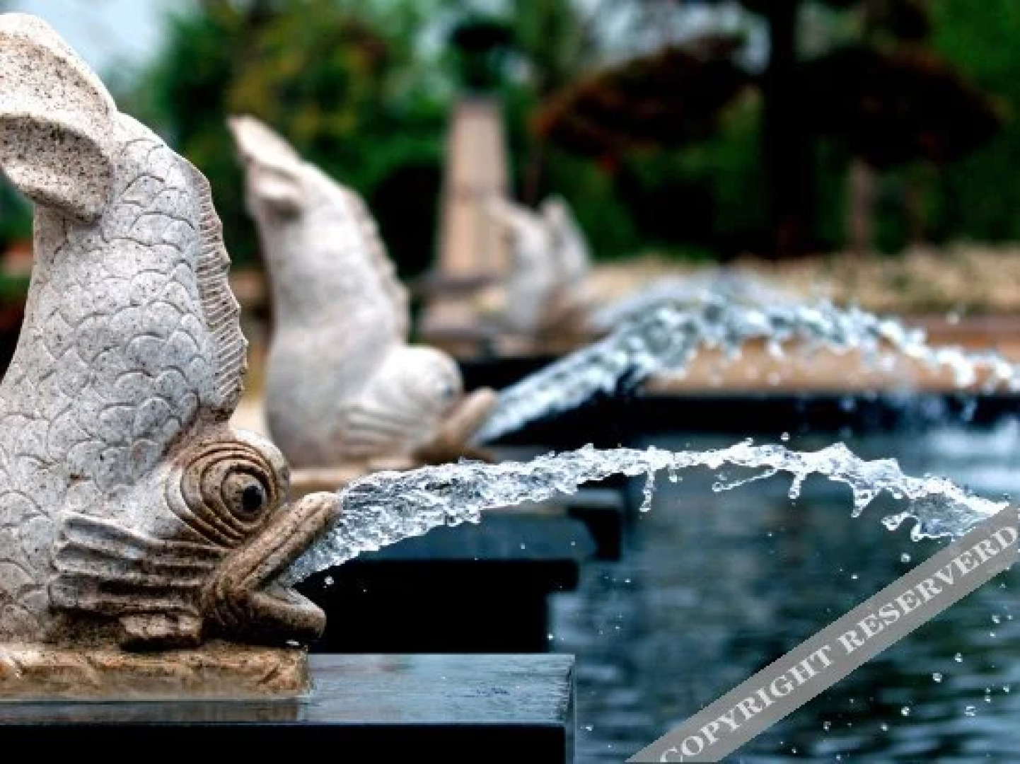 芜湖县阳光半岛大酒店