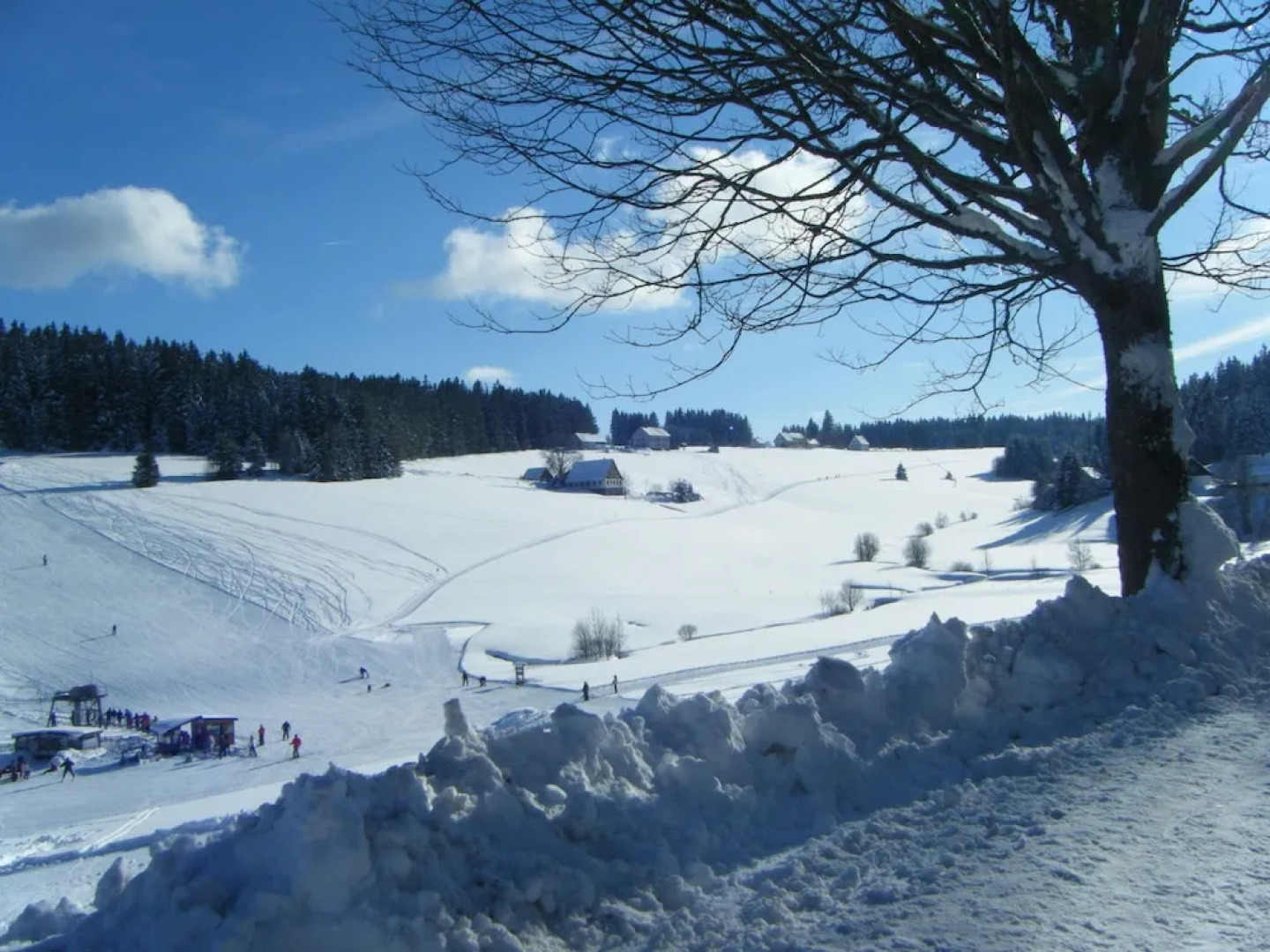 Charming Apartment in Schonwald im Schwarzwald With Sauna