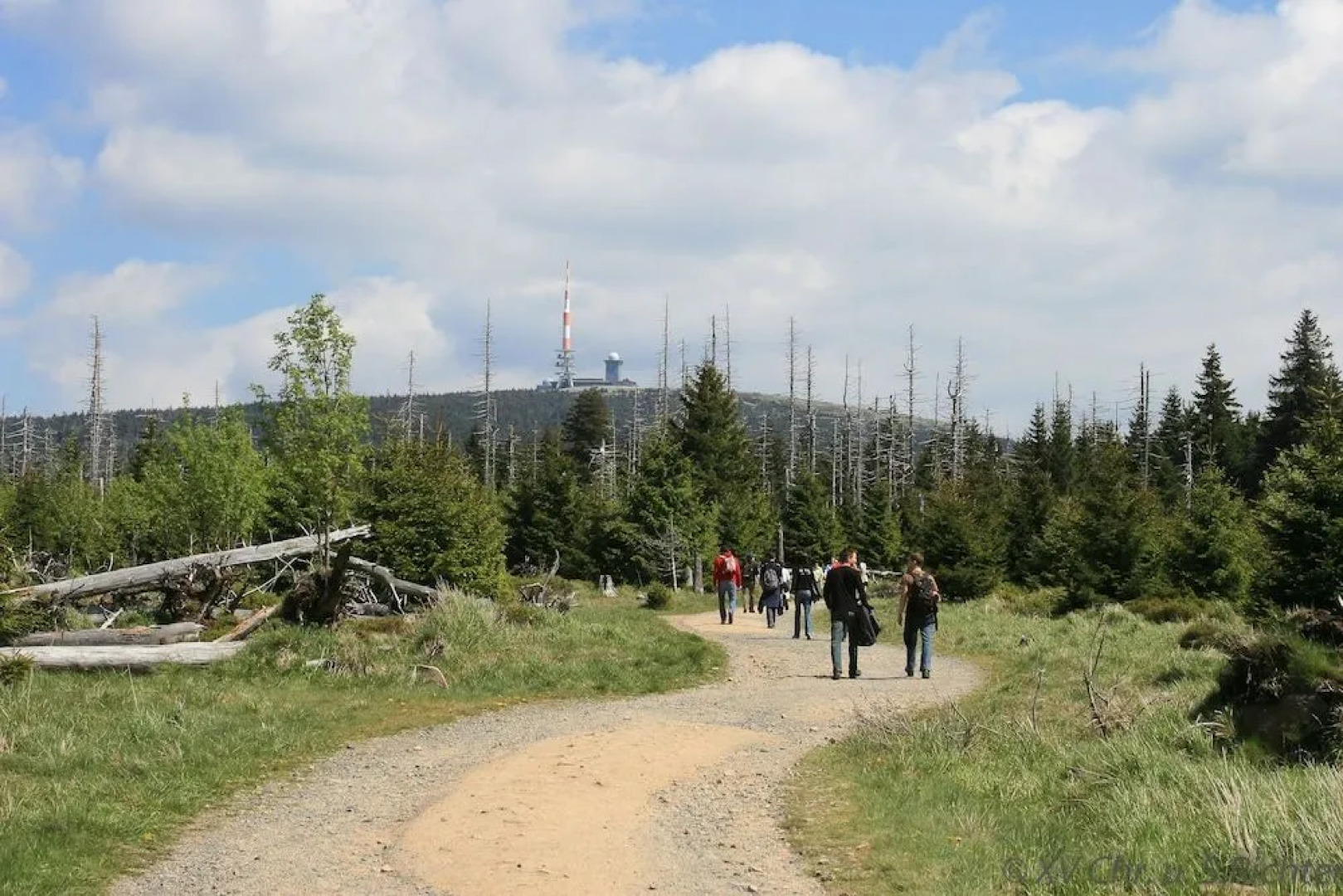 Waldhotel Achtermannstor