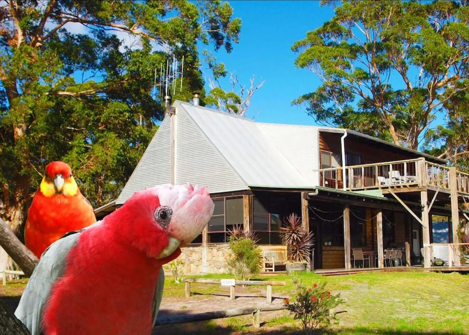 Wolfes Landing Eco Retreat