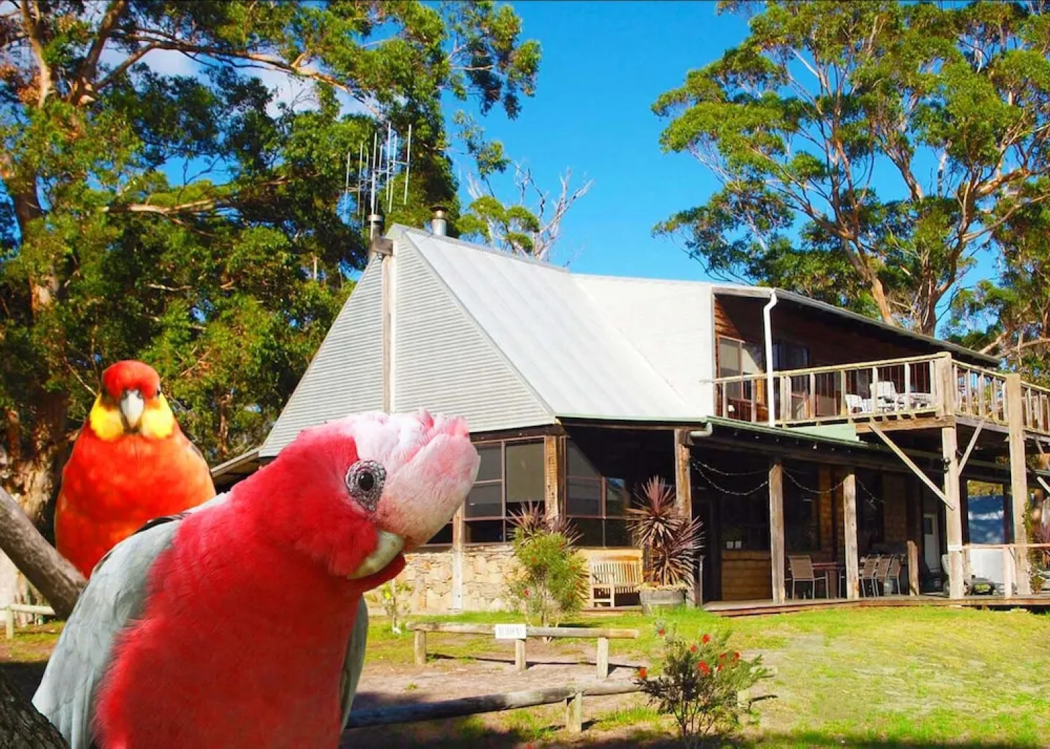 Wolfes Landing Eco Stay