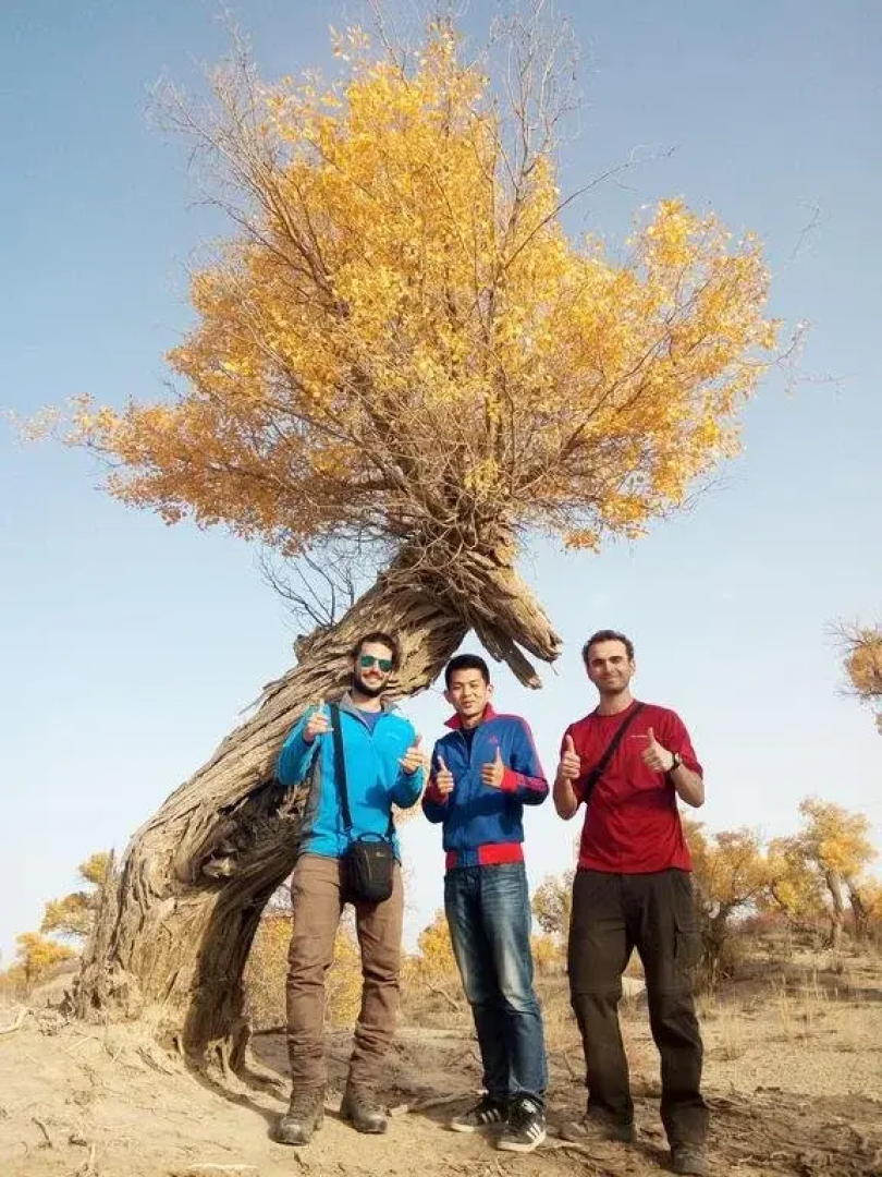 Korla Dragon Path Hostel