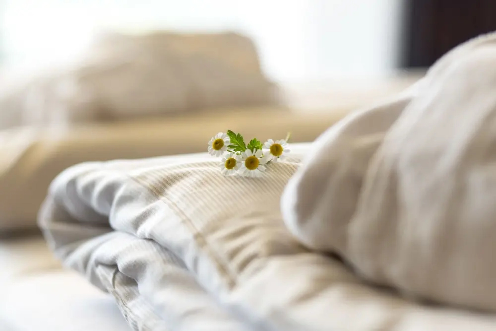 Schwarzwald Panorama