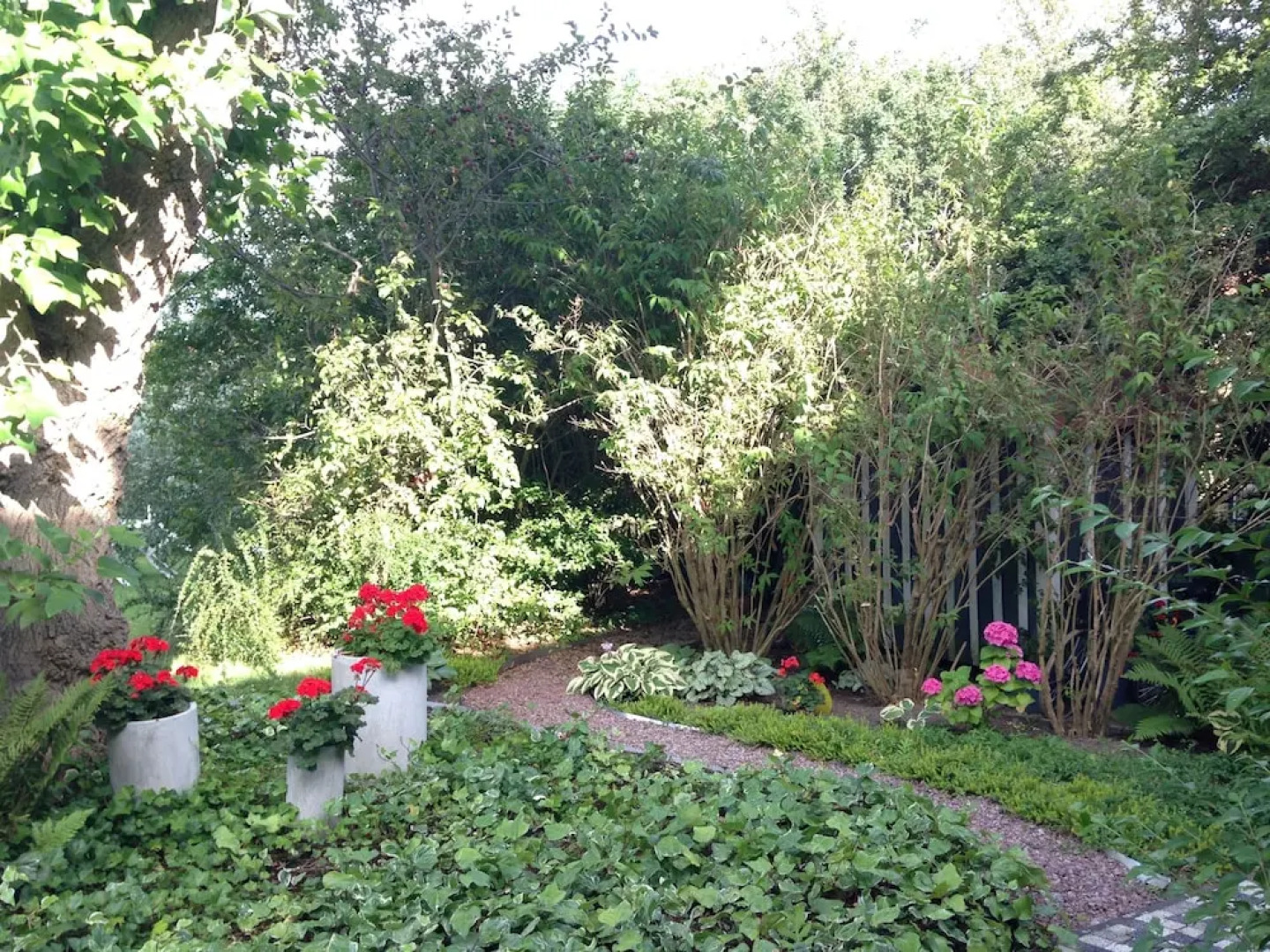 Solrosen i Simrishamn