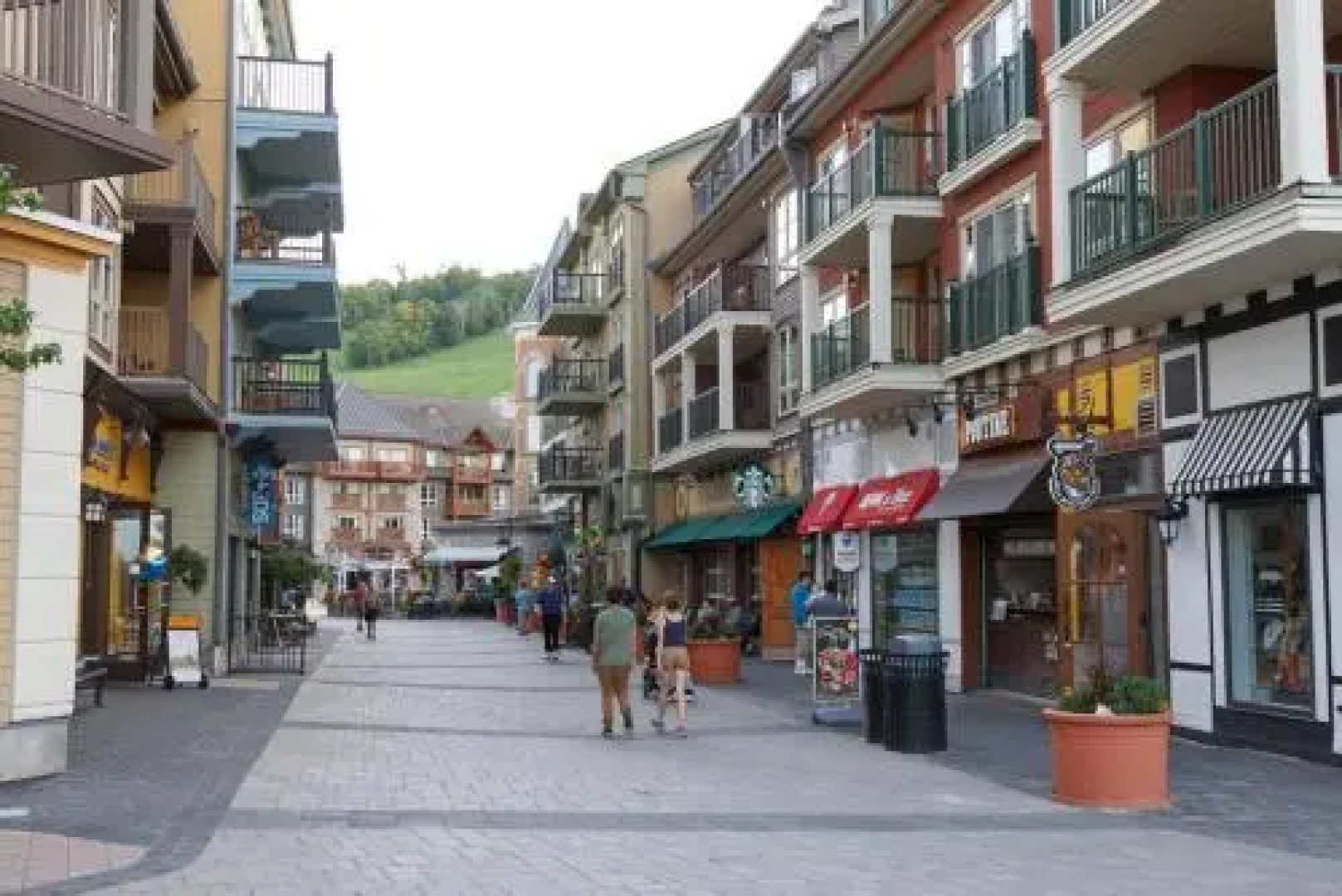 Beautiful Mountain Studio in The Blue Mountains