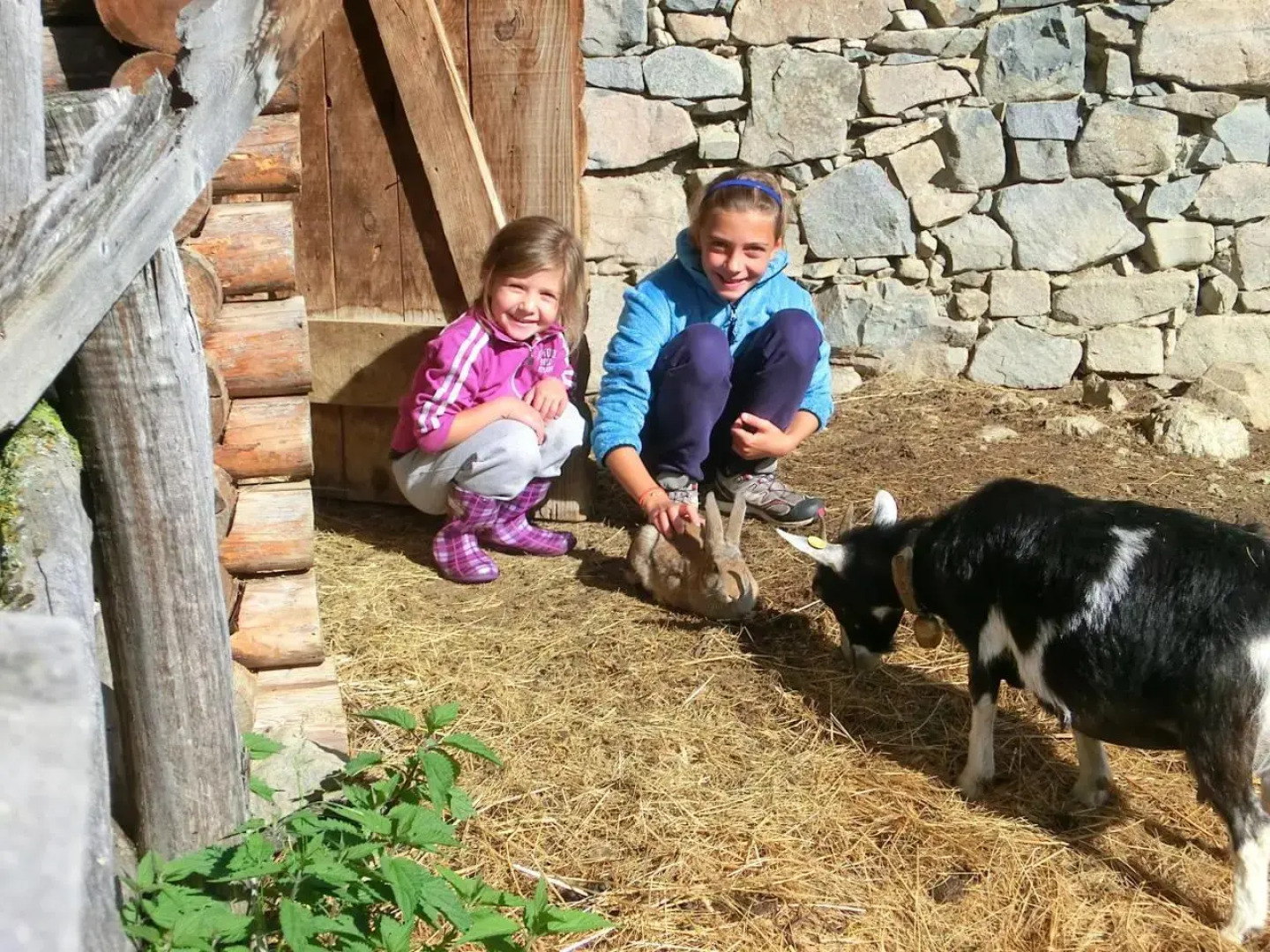 Raffreiderhof Apt Zirbe