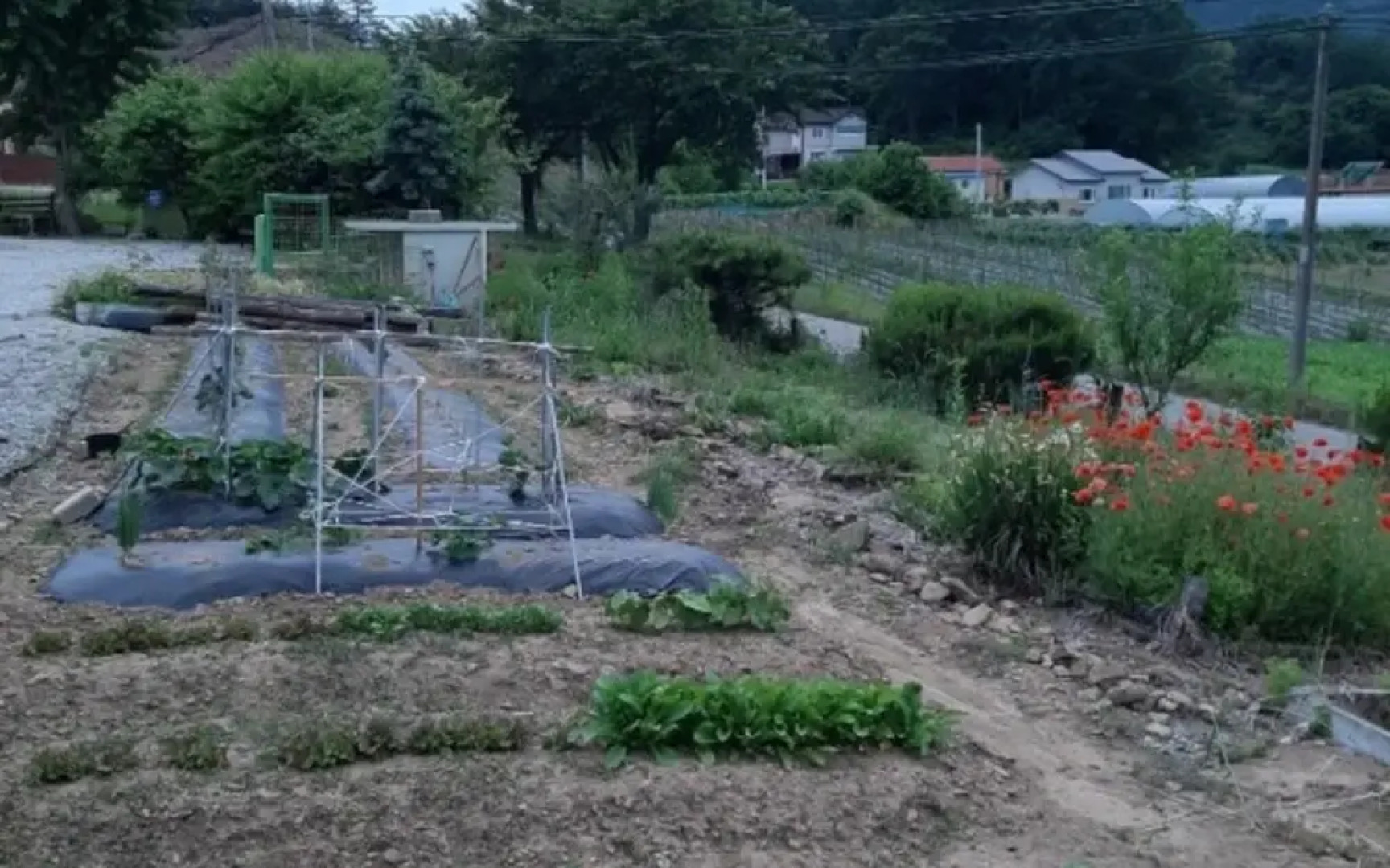 Goesan Byeolbitsanmagi Pension