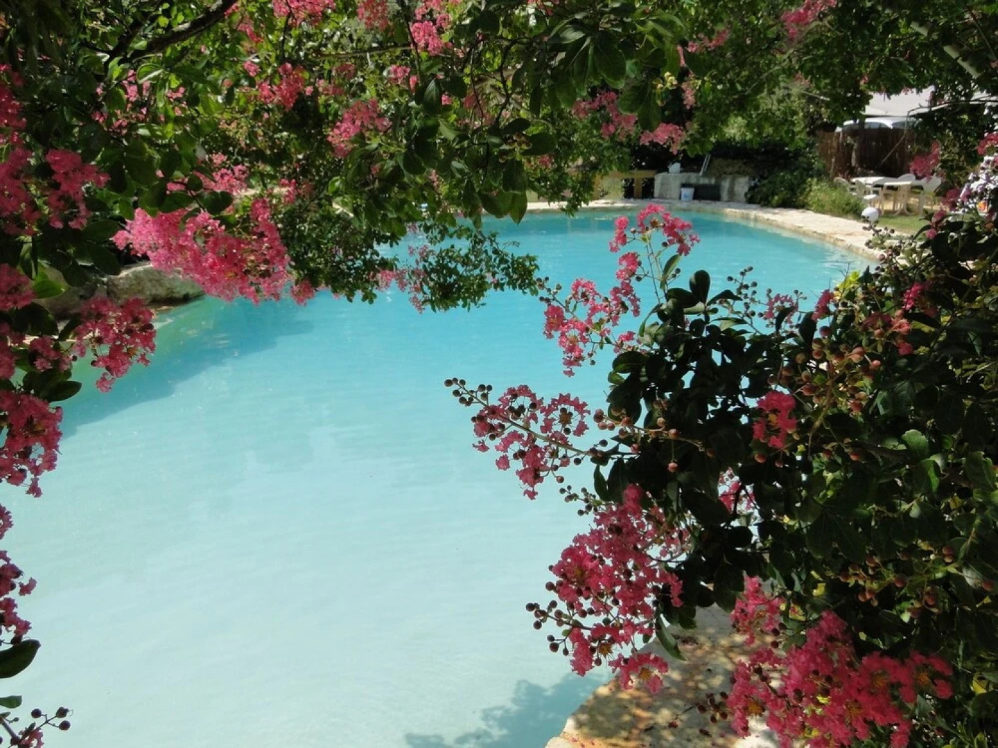 B&B la Bousquatière