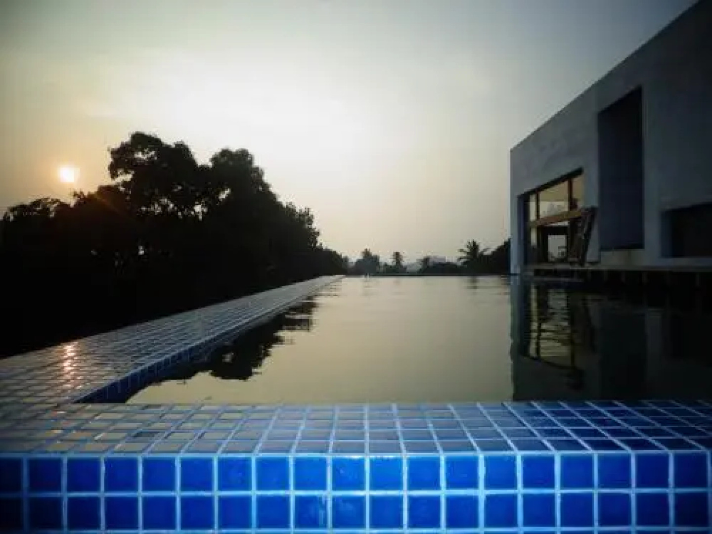 Araliya Garden - Nawala