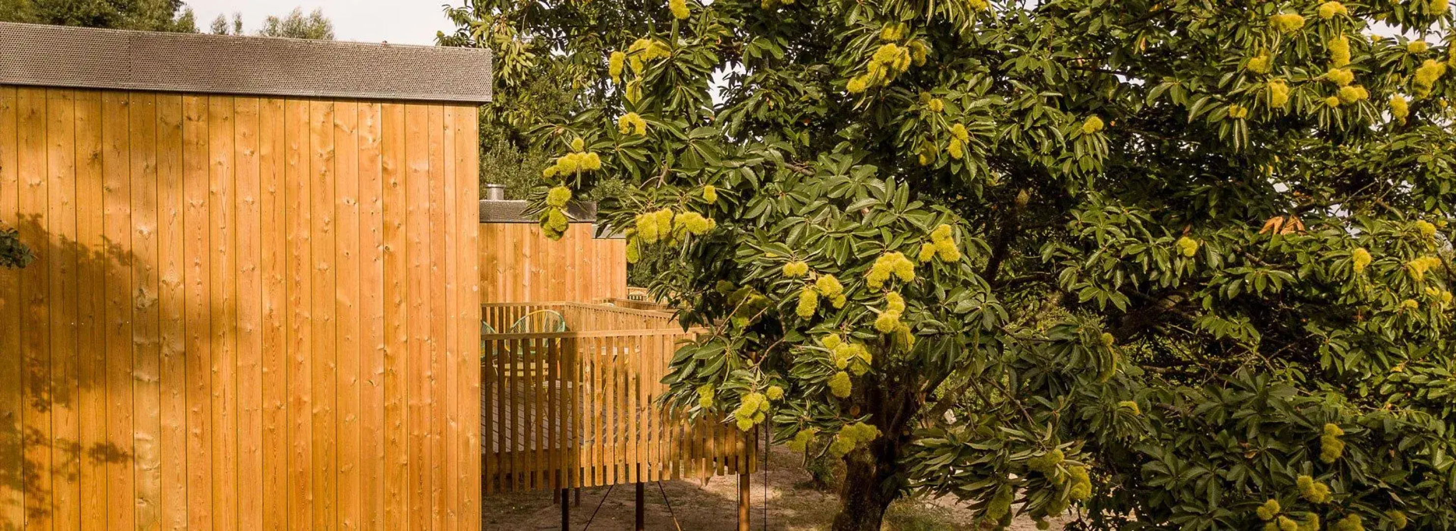 Aloia Nature Alojamiento Forestal