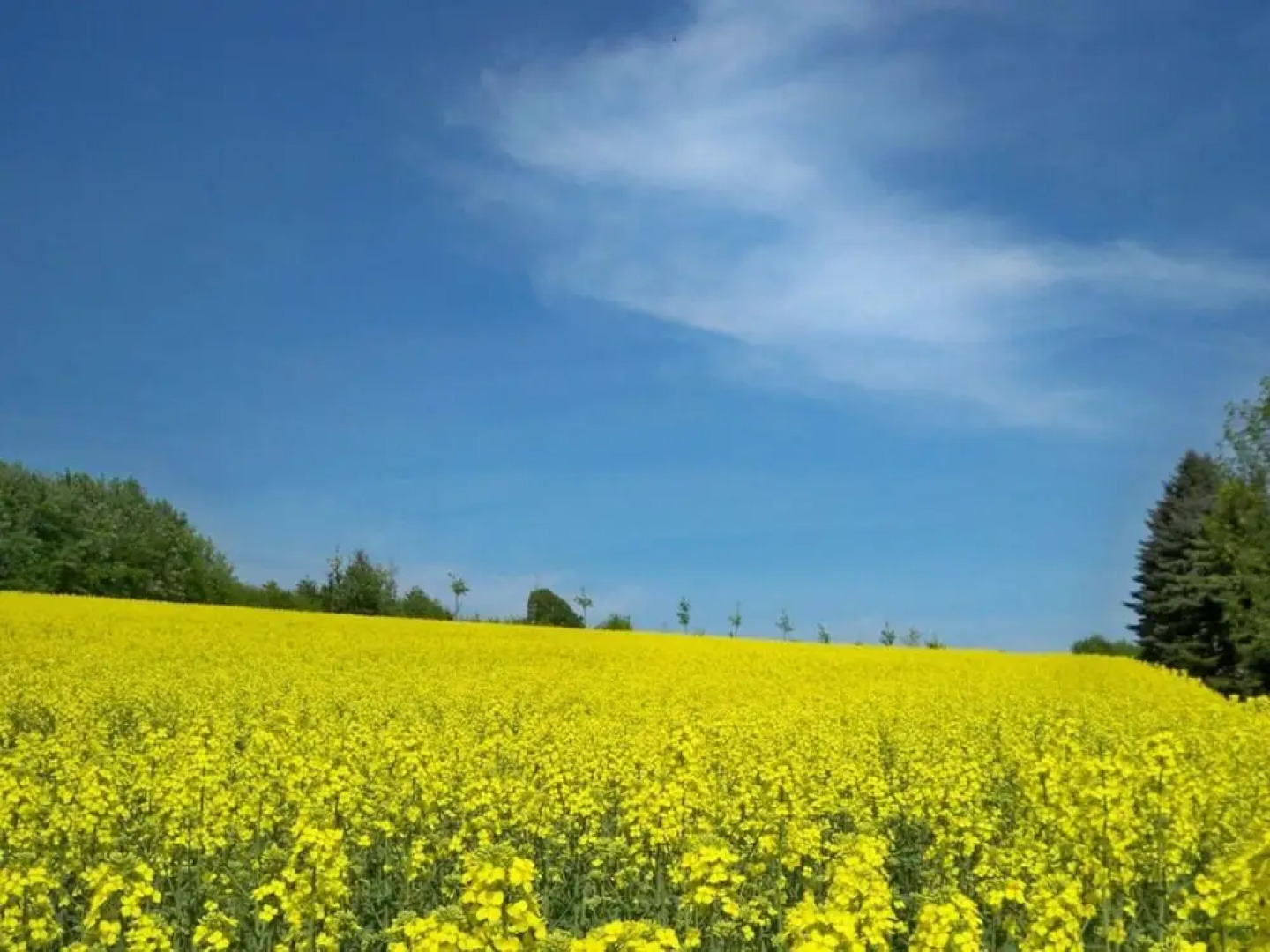 "weserbergland" Modern Retreat