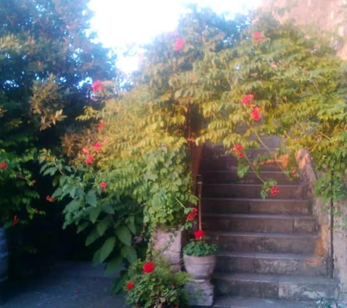 Mansion With 3 Bedrooms in Palau-sator, With Private Pool and Enclosed Garden