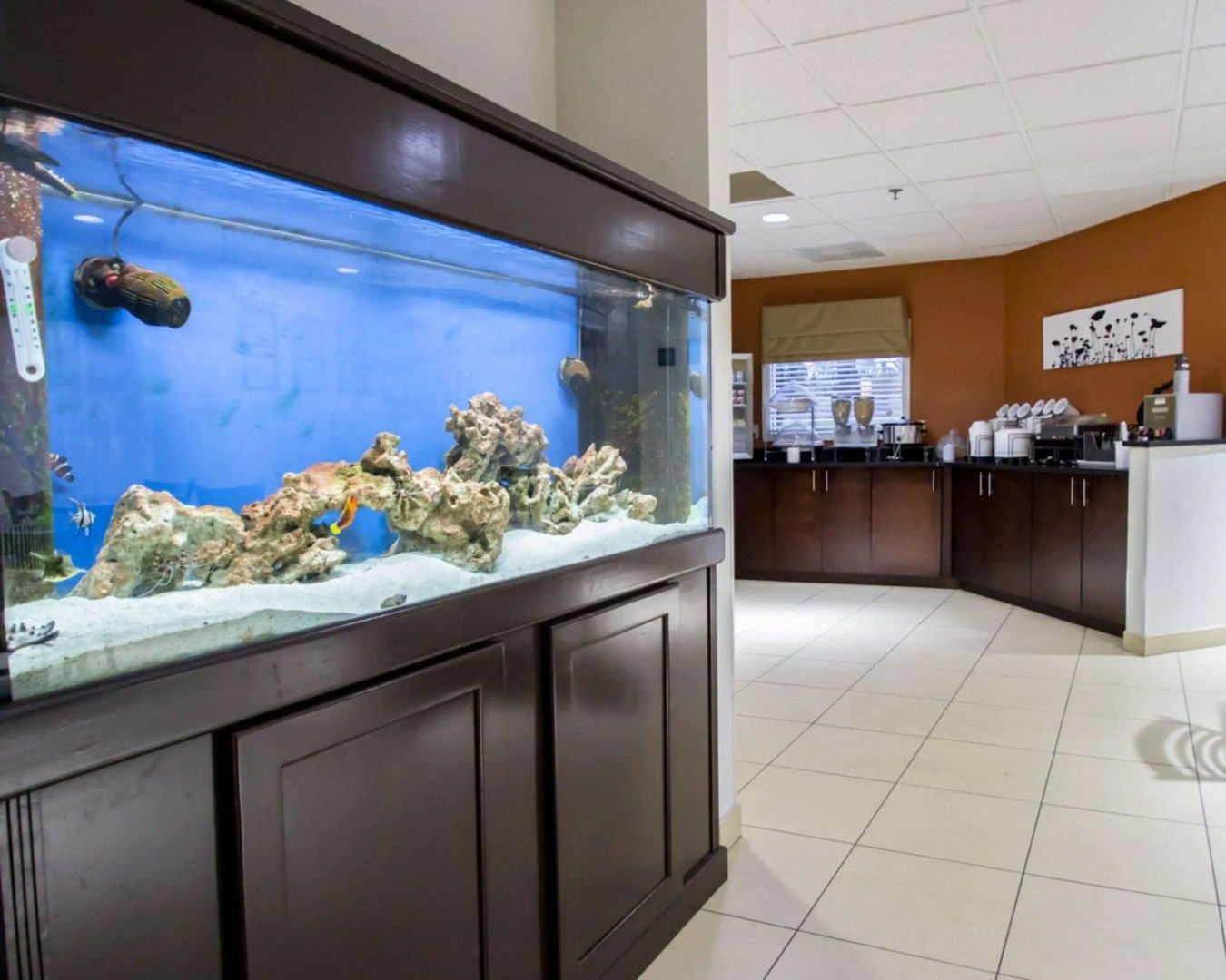 Sleep Inn Ormond Beach - Daytona