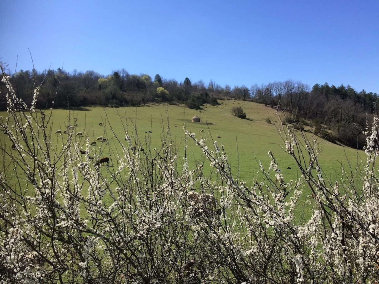 Domaine Pernot Chambres d'hôtes