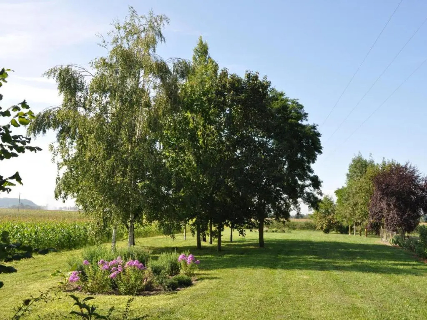 Gîte Saint-Pourçain-sur-Sioule, 2 pièces, 2 personnes - FR-1-489-30