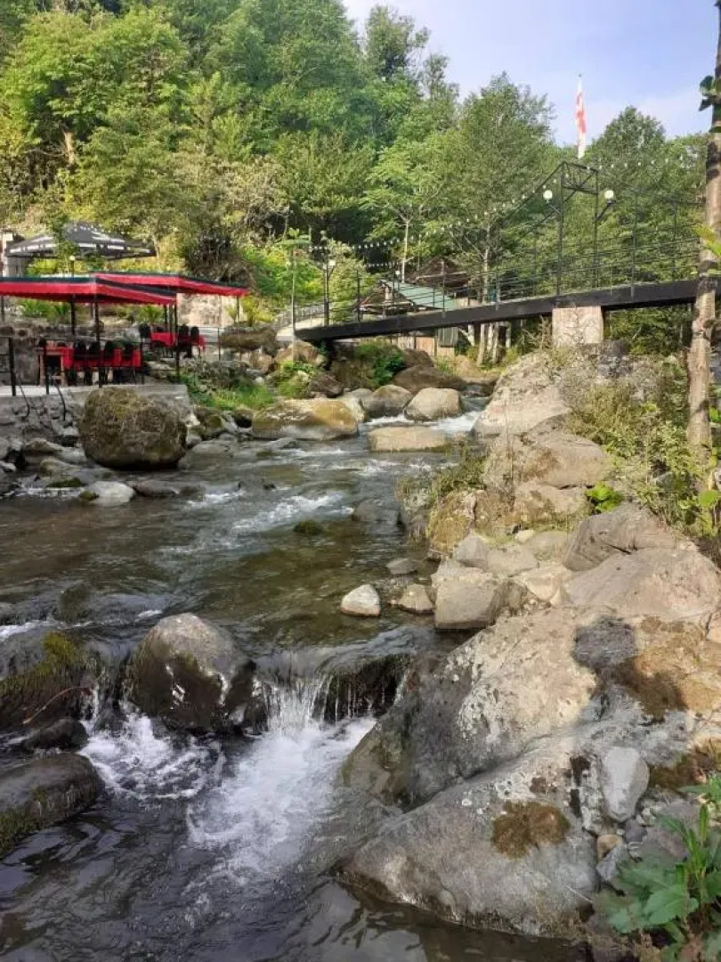 Guest House - Green Space