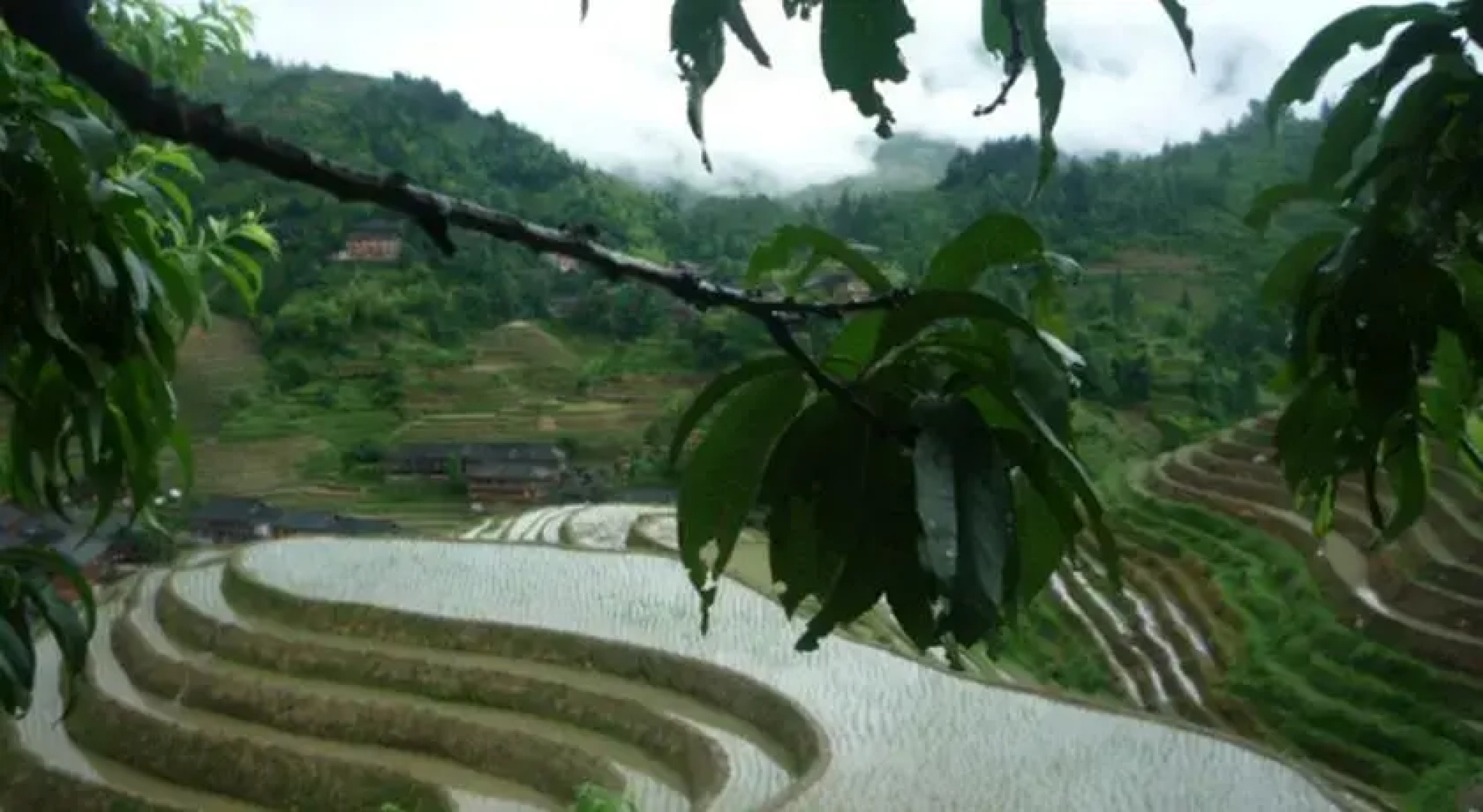 Longji Terraced Fields Jing Liu Ren Inn