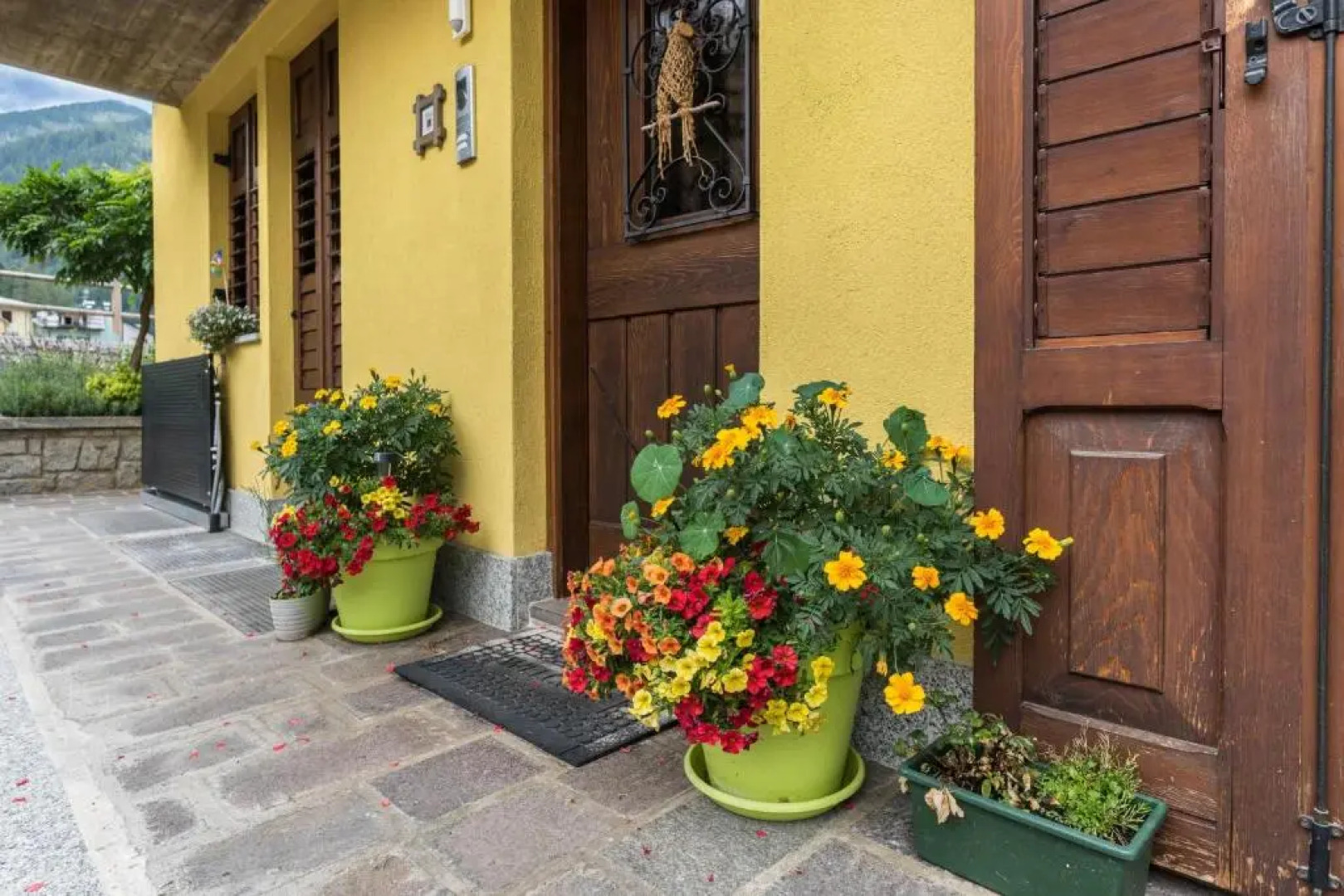 Appartamento Albachiara 2