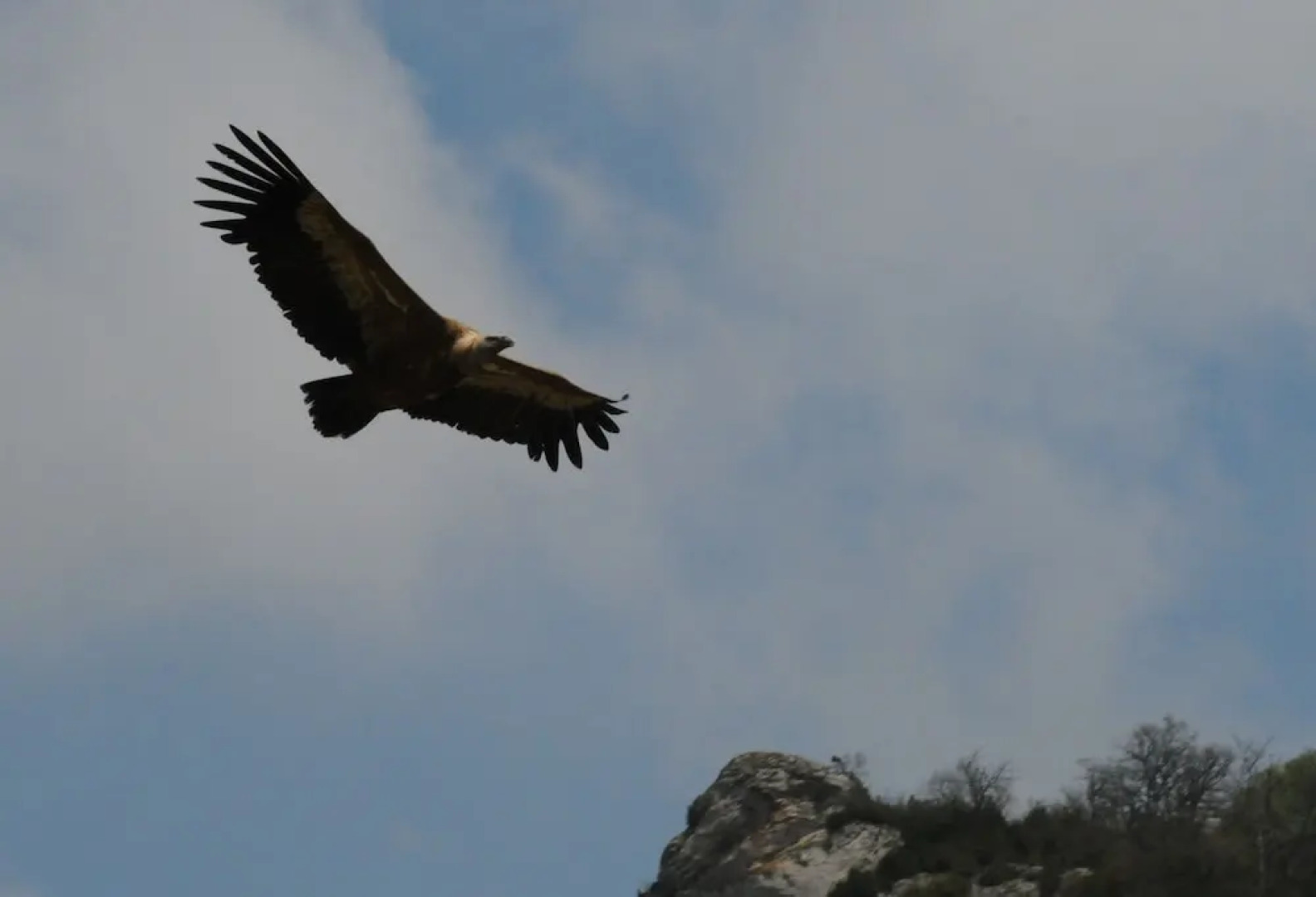 Réserve Naturelle de Boussière