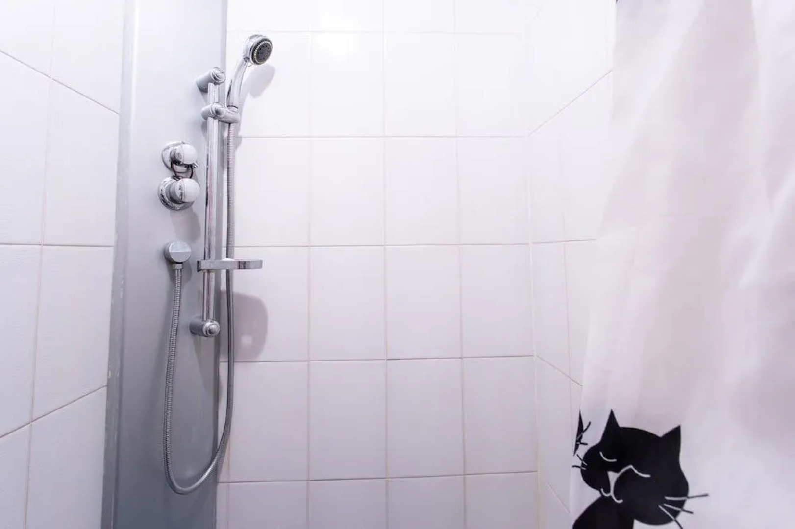 Жилое помещение Cats