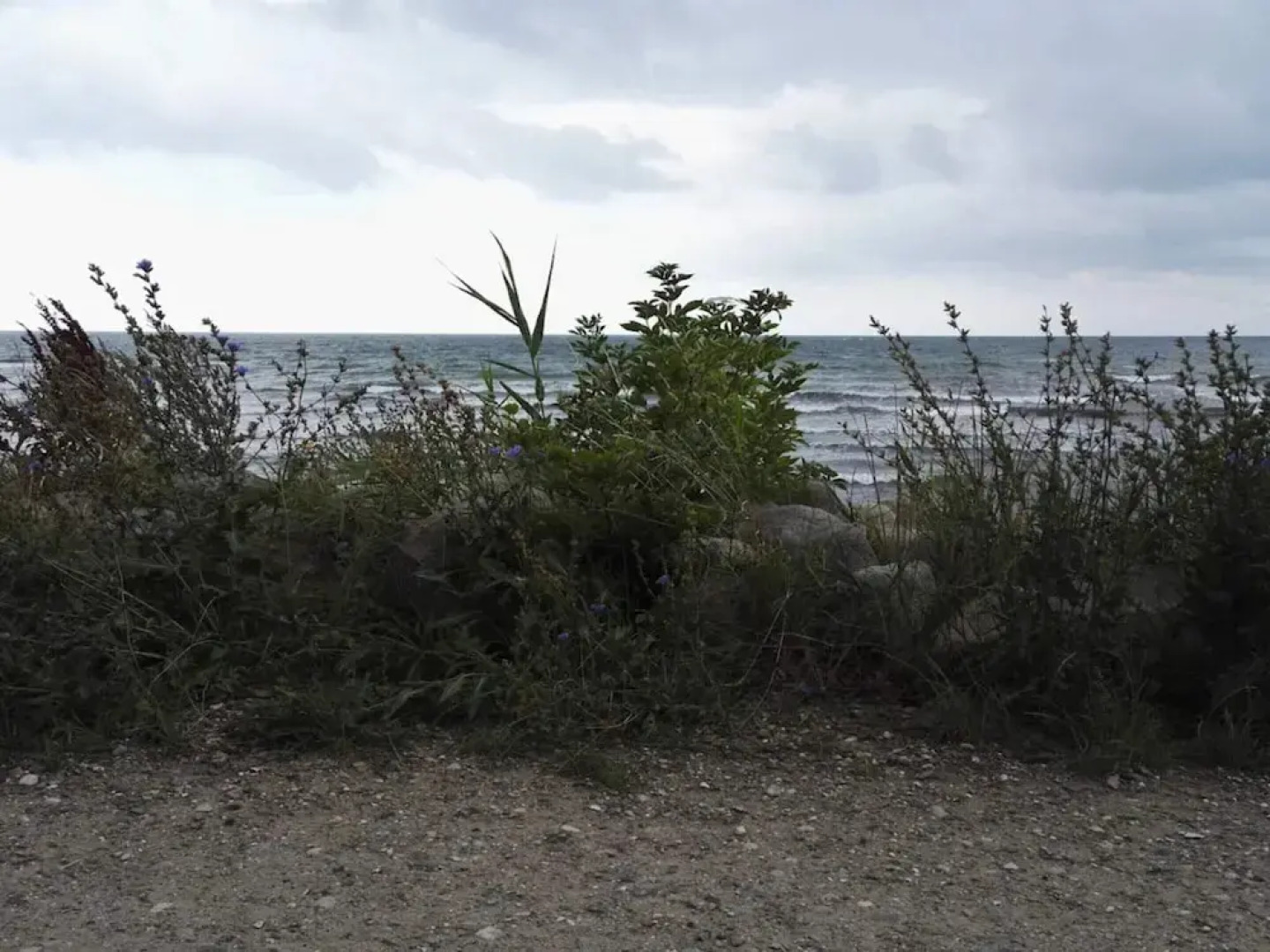 Luxury Wellness Retreat - By Traum Ferienwohnungen