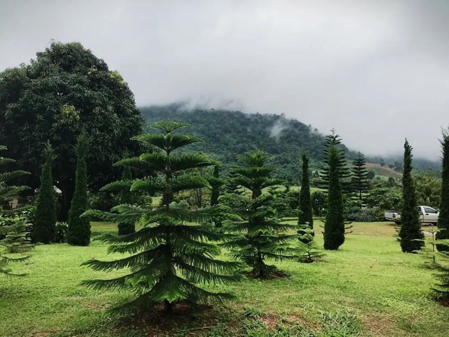 Loesloei Garden Resort Phurua