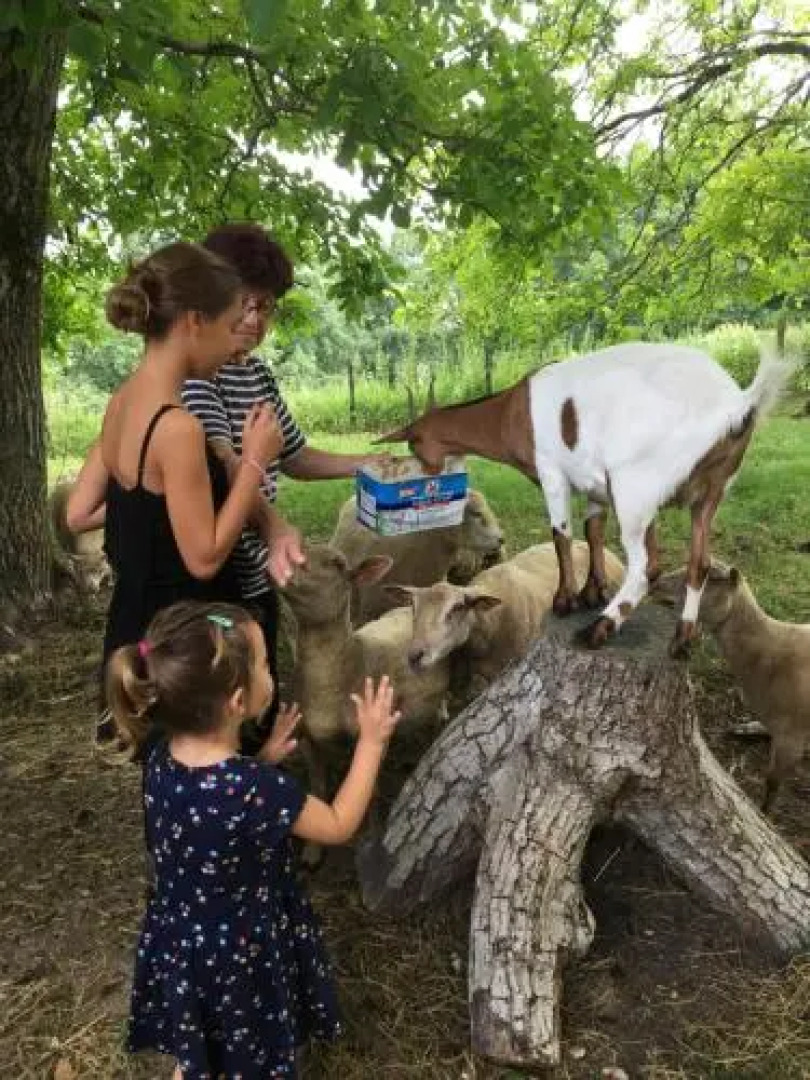Chambres dhôtes Boudeau