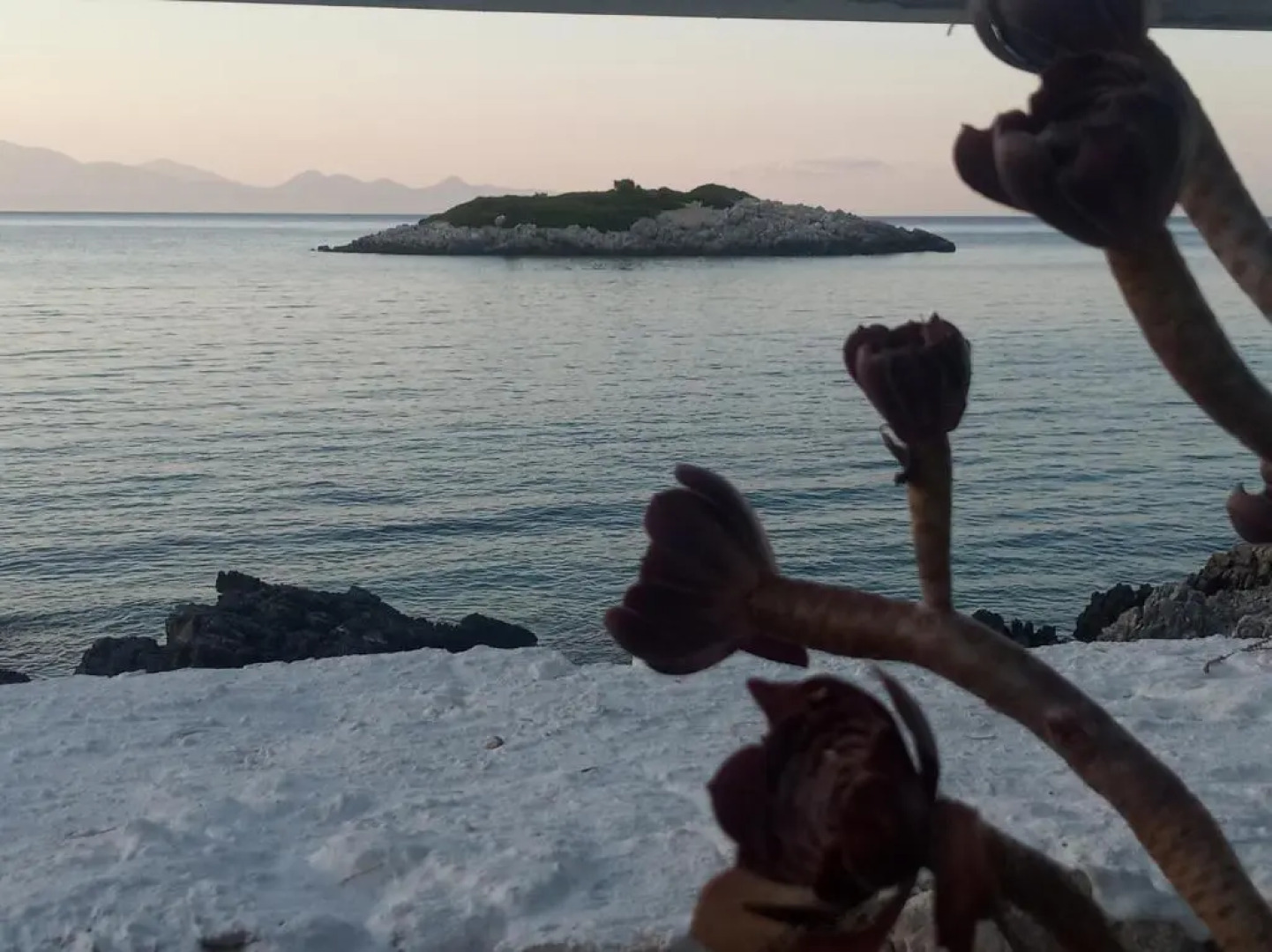 Floreica Studio By The Sea