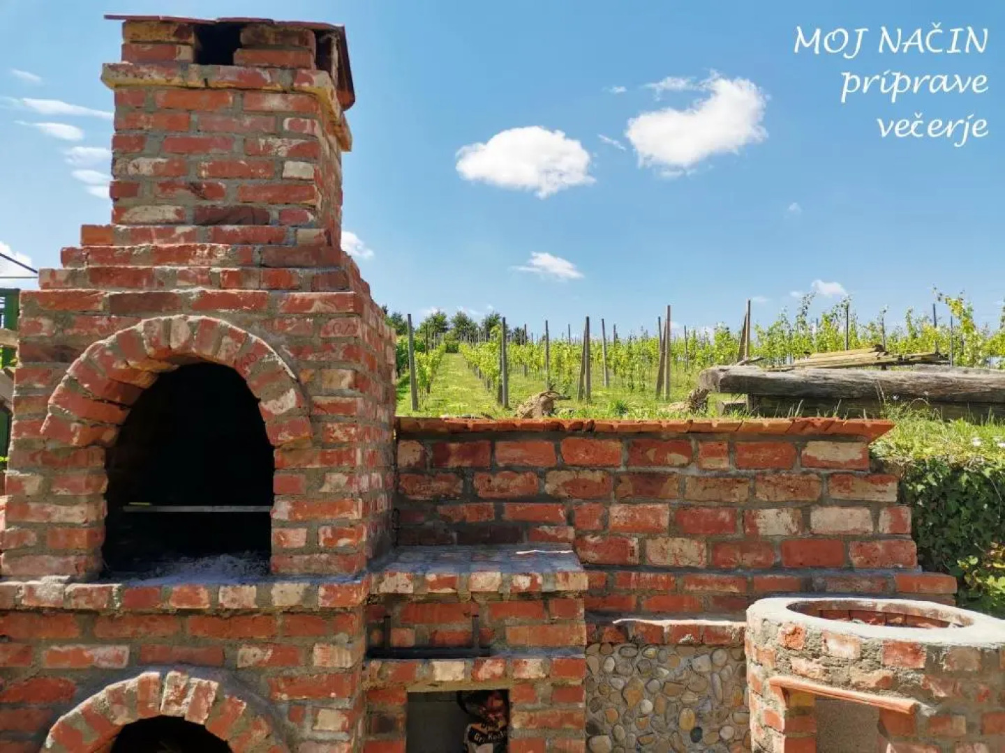 Apartma med vinogradi