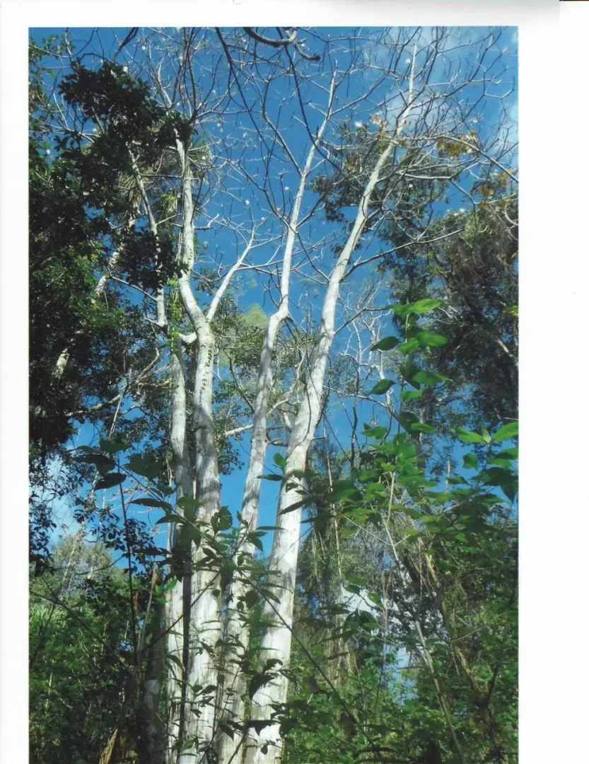 Posada Los Reyecitos