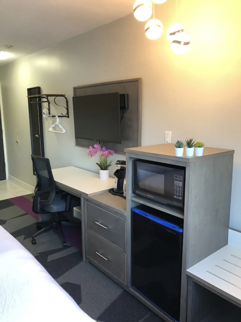 The Spot at Porpoise Bay