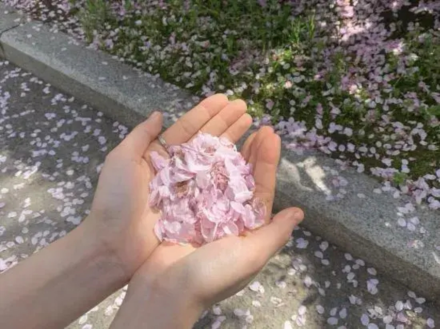 Nanolan Hotel, Batang