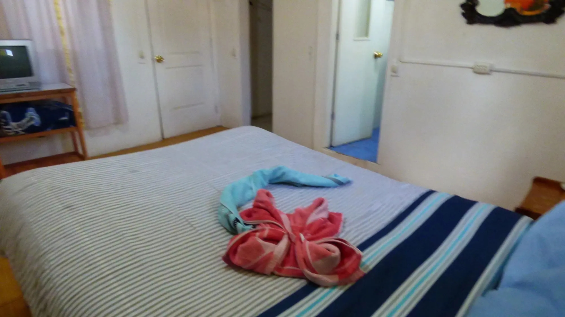 The Grasshopper Hostel