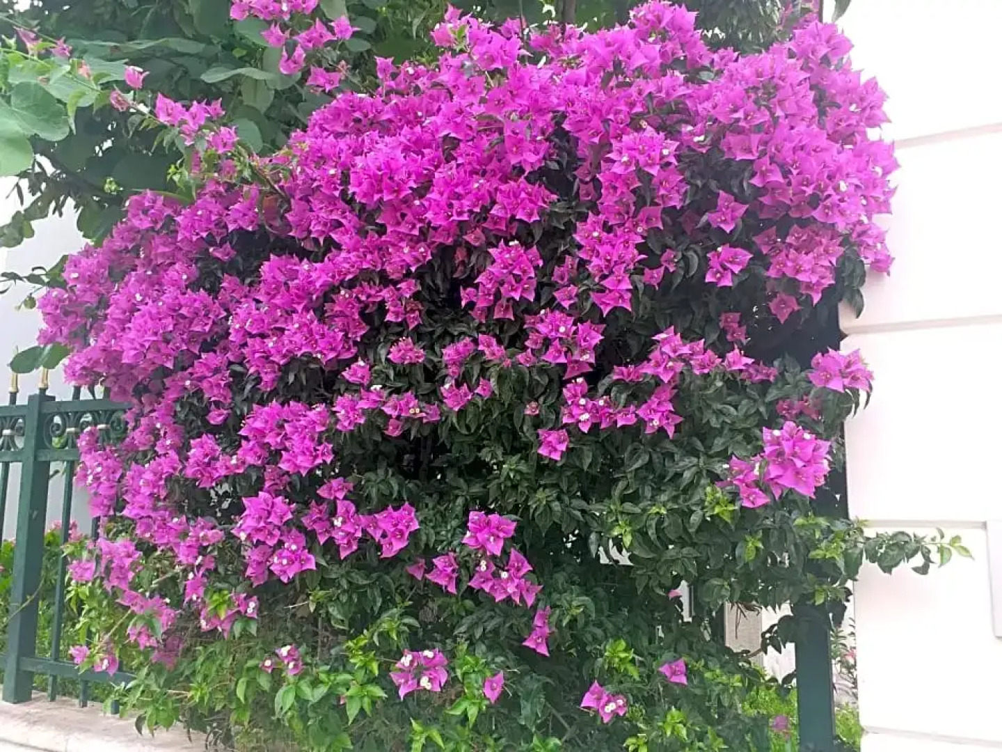 Falli Exclusive Rooms And Breakfast