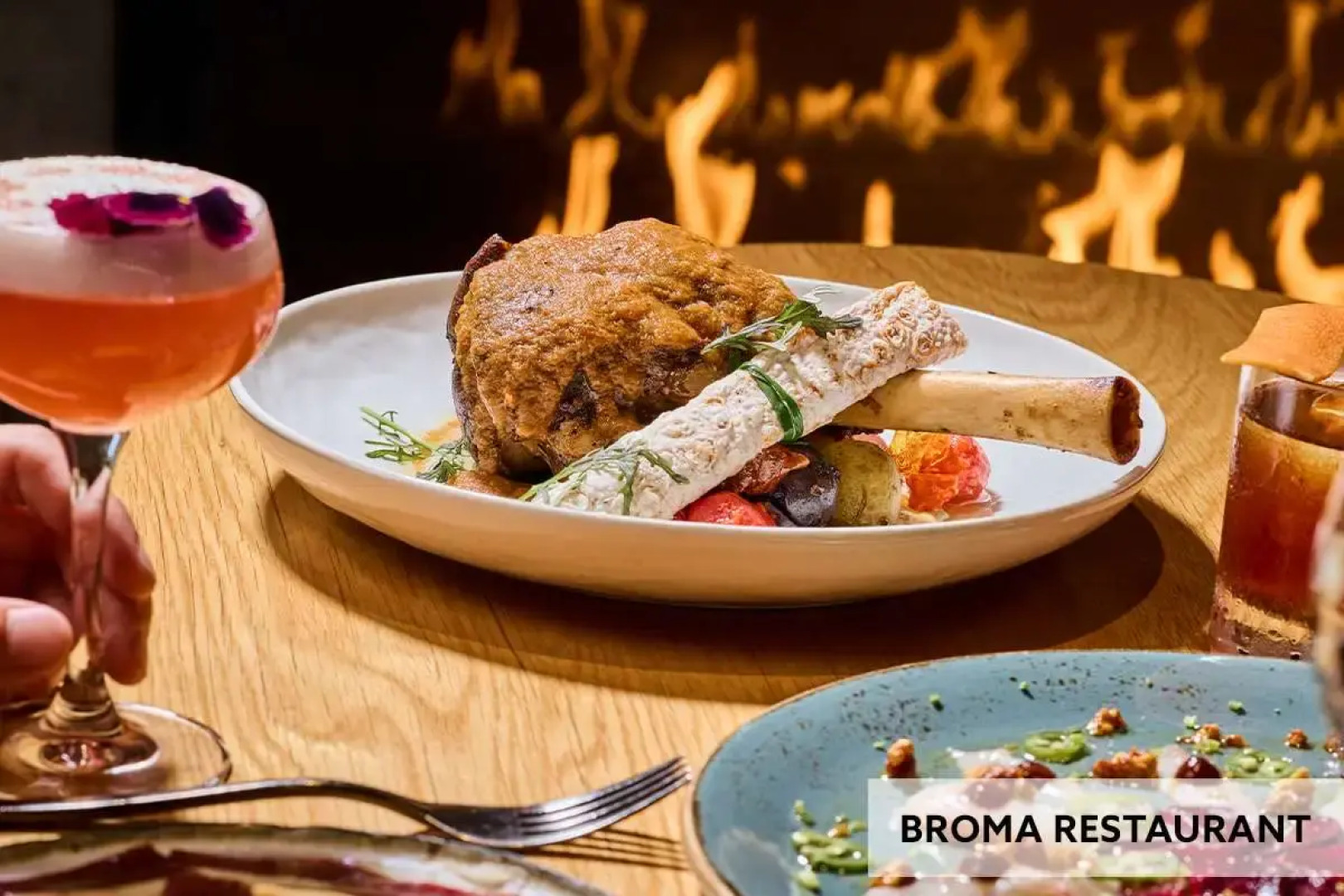 Shashi Hotel Mountain View Palo Alto