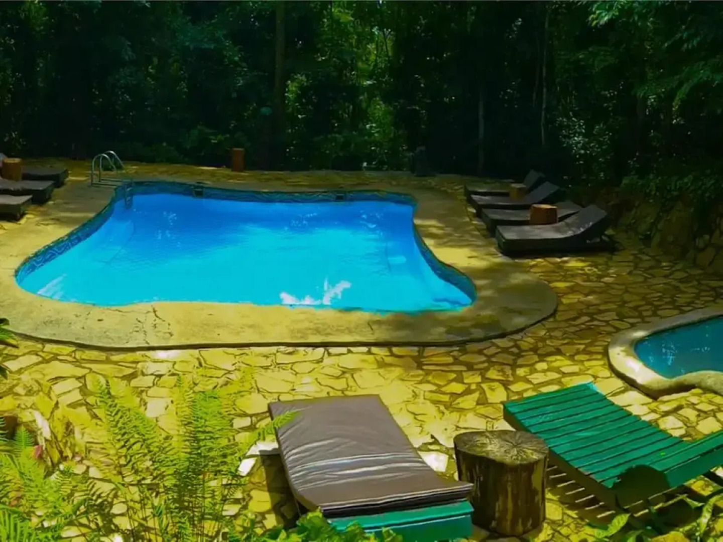 Rainforest Lodge Mabira by GEO