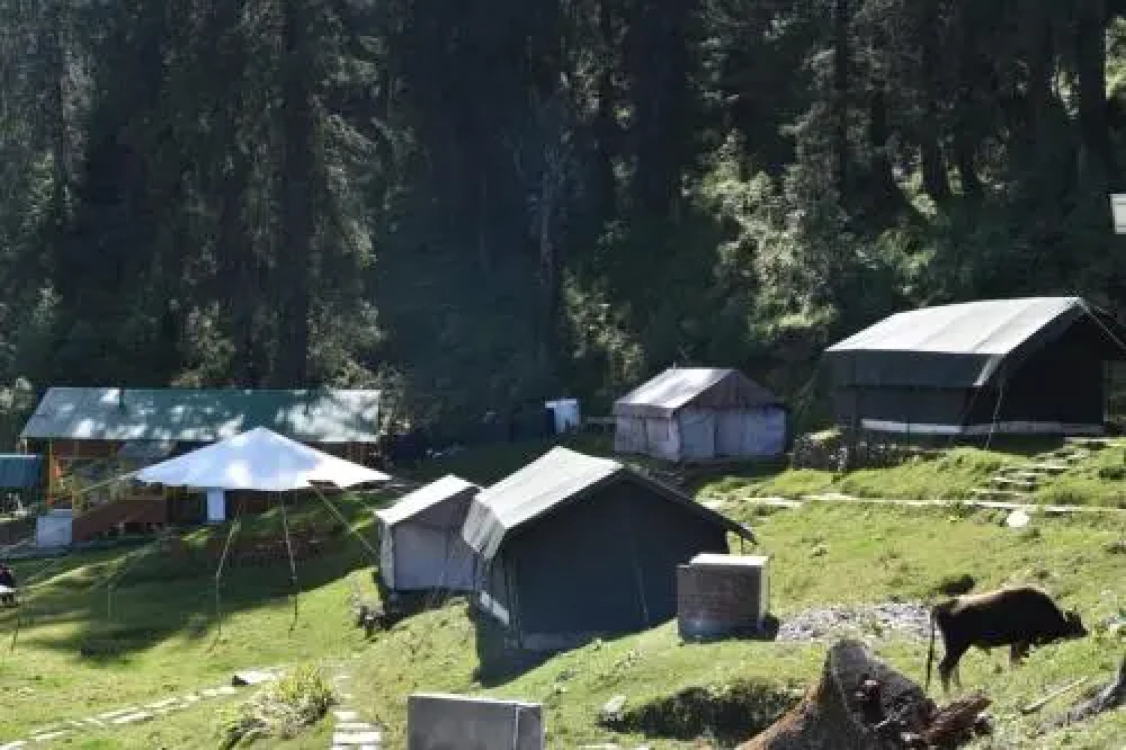 Nature Camp Forest Corporation