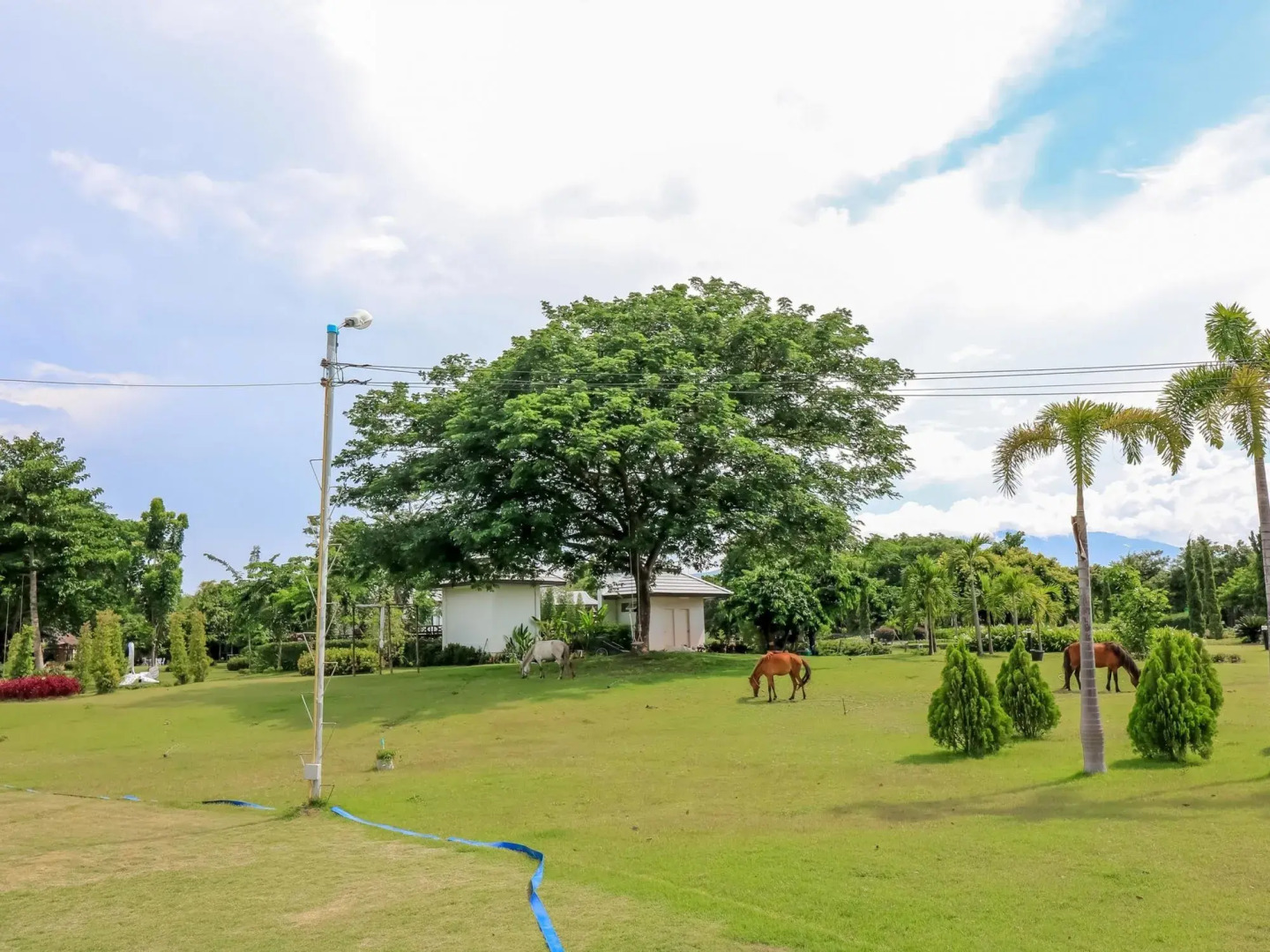 Nida Rooms Chom Thong 236 Golden Silk