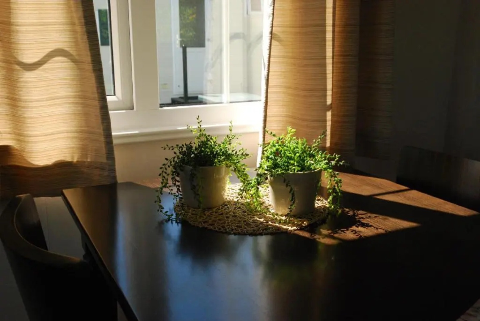 Minicamping De Visser