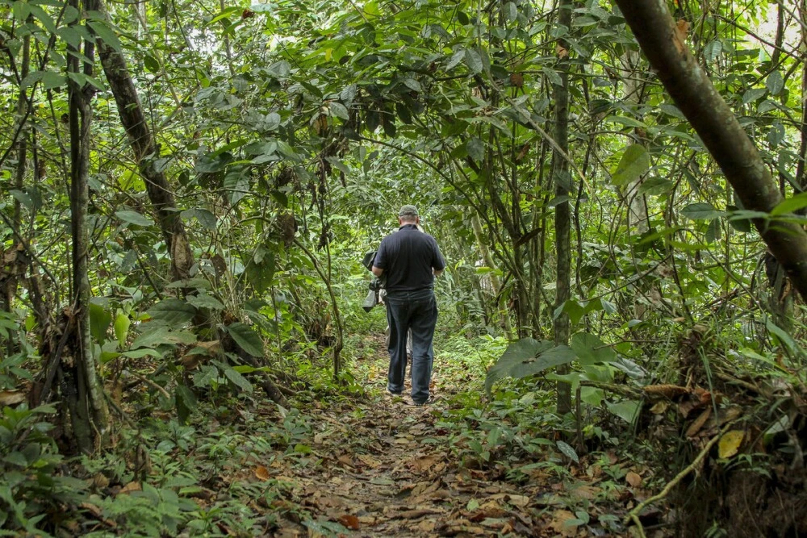 Jungle Experiences Zafiro