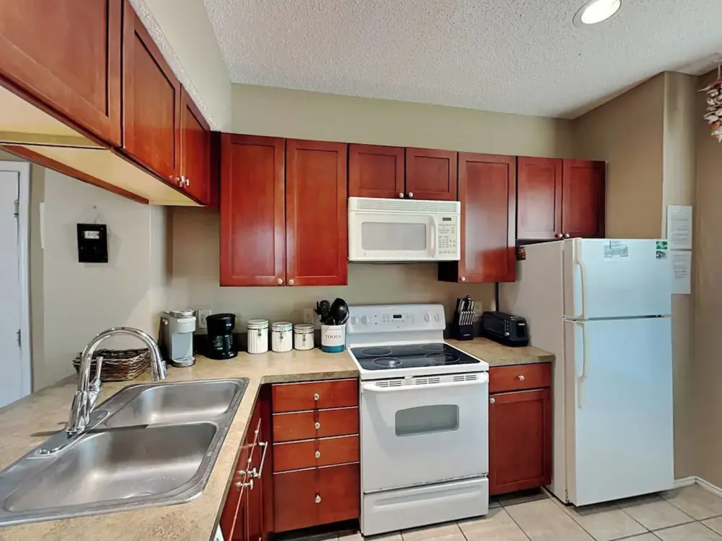 Npi146-the Lazy Turtle