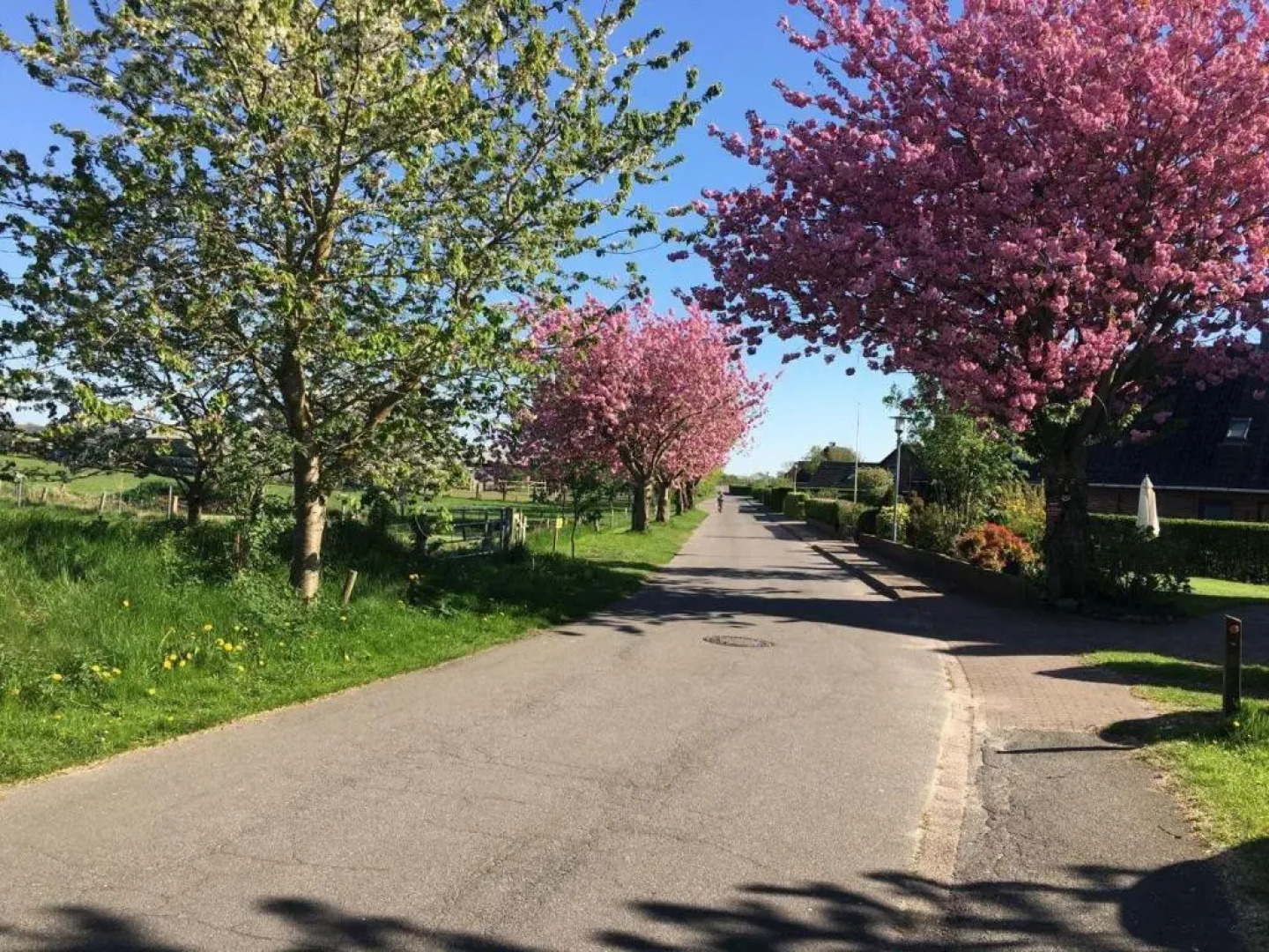 Wohnung-Felsenauster-im-Haus-Muschelgarten