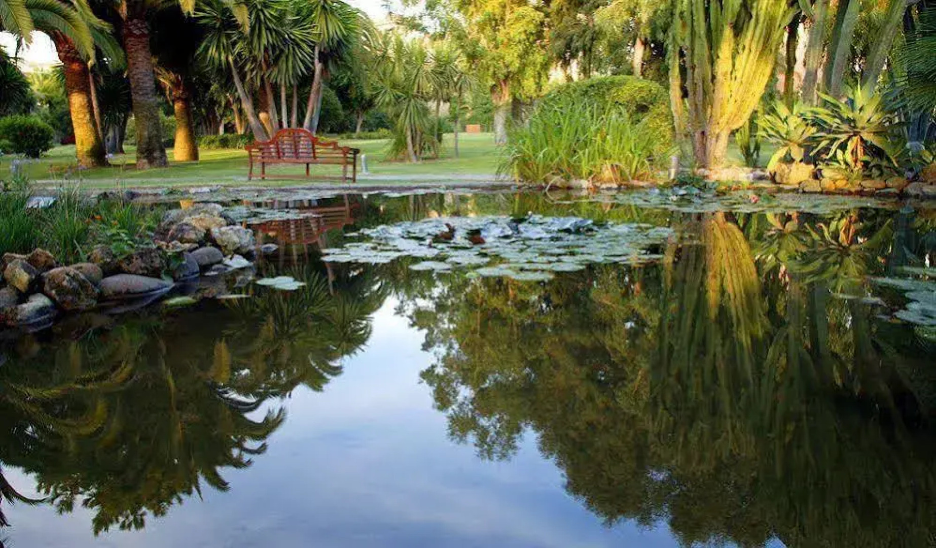 Don Carlos Leisure Resort & Spa.