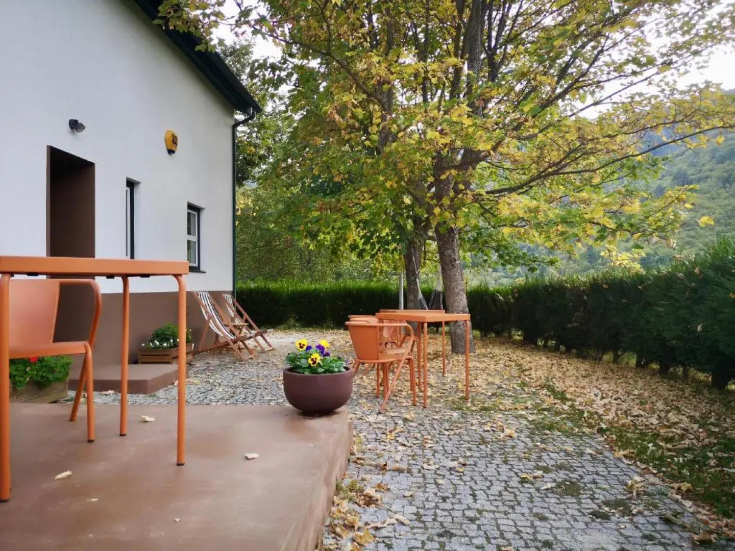 Solar da Castanha - Forest House